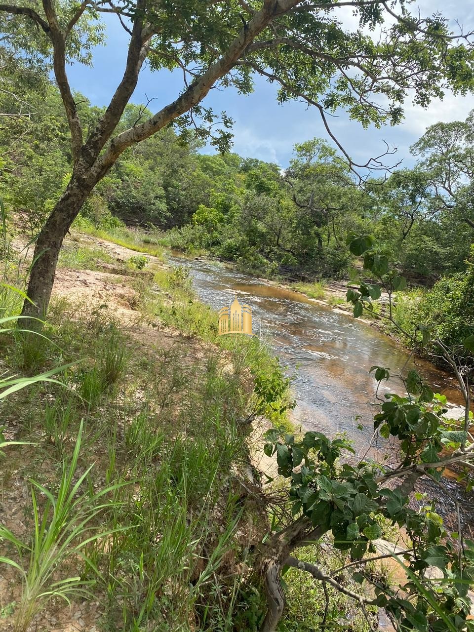 Fazenda à venda com 4 quartos, 1340000m² - Foto 21