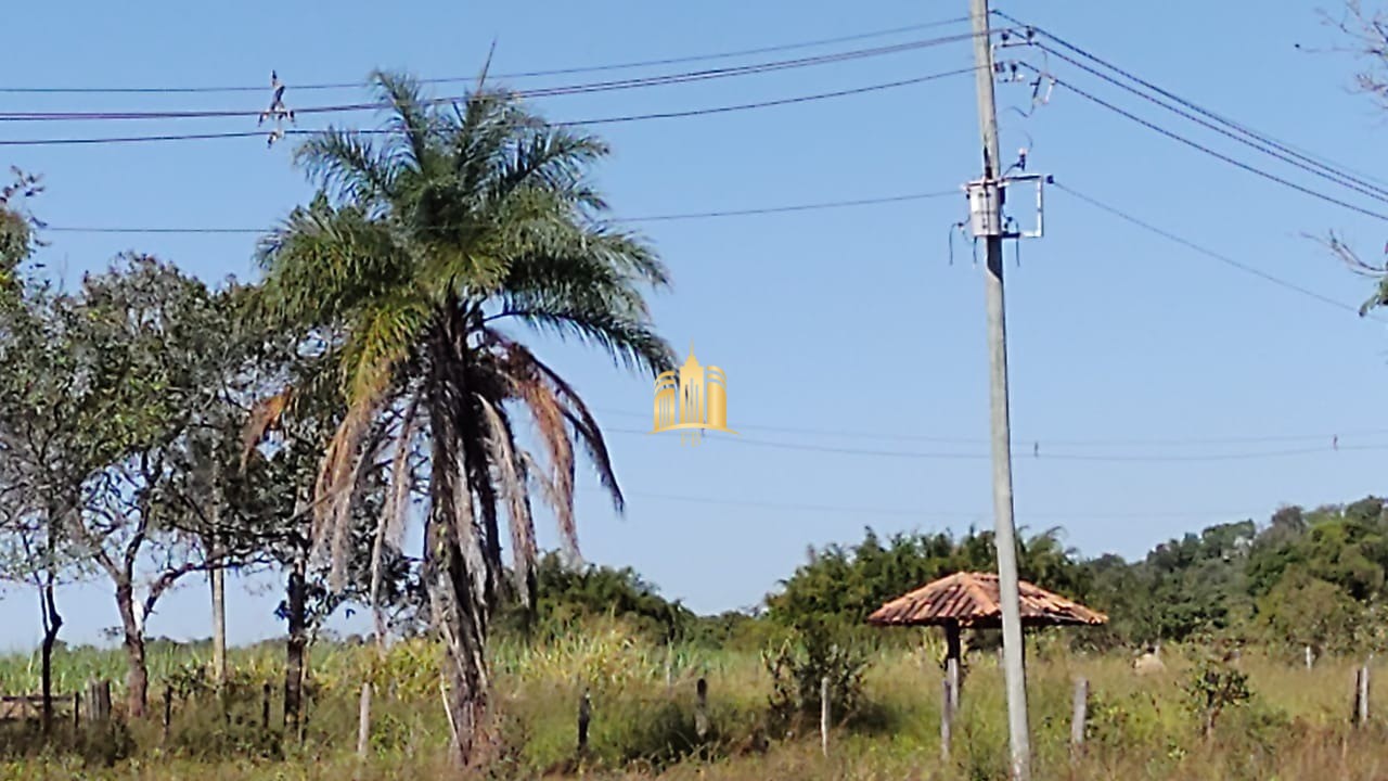 Terreno à venda, 20000m² - Foto 5