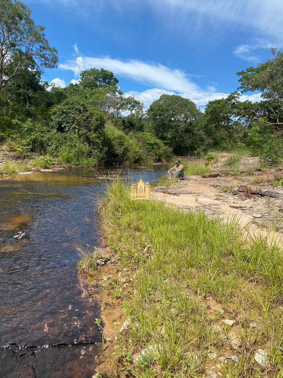 Fazenda à venda com 4 quartos, 1340000m² - Foto 19