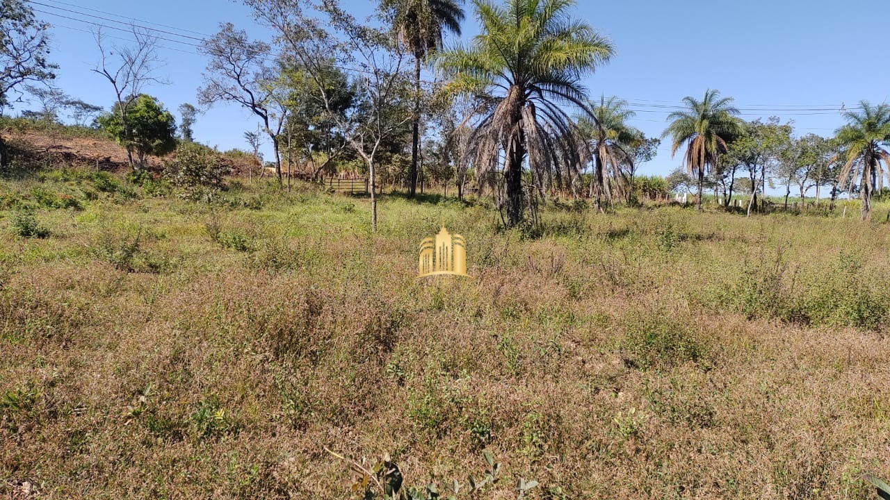 Terreno à venda, 20000m² - Foto 10