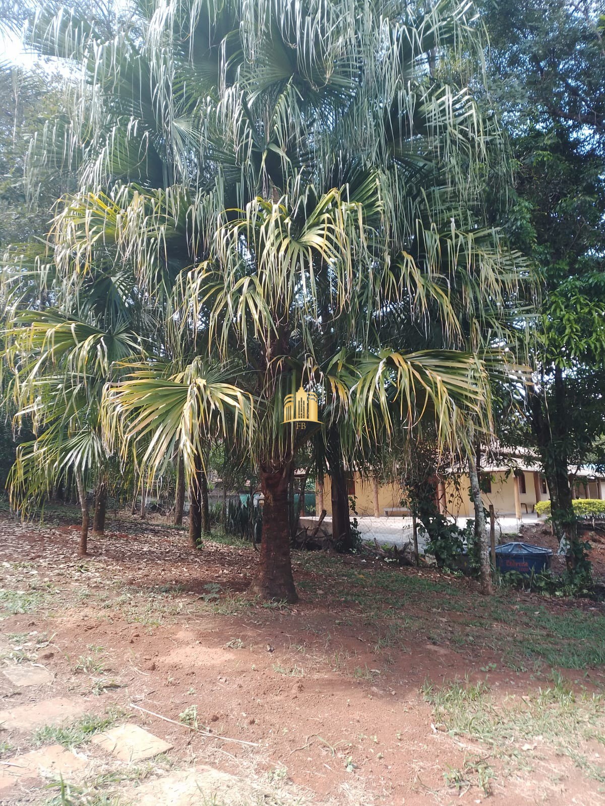 Sítio, 3 quartos, 5500 m² - Foto 22