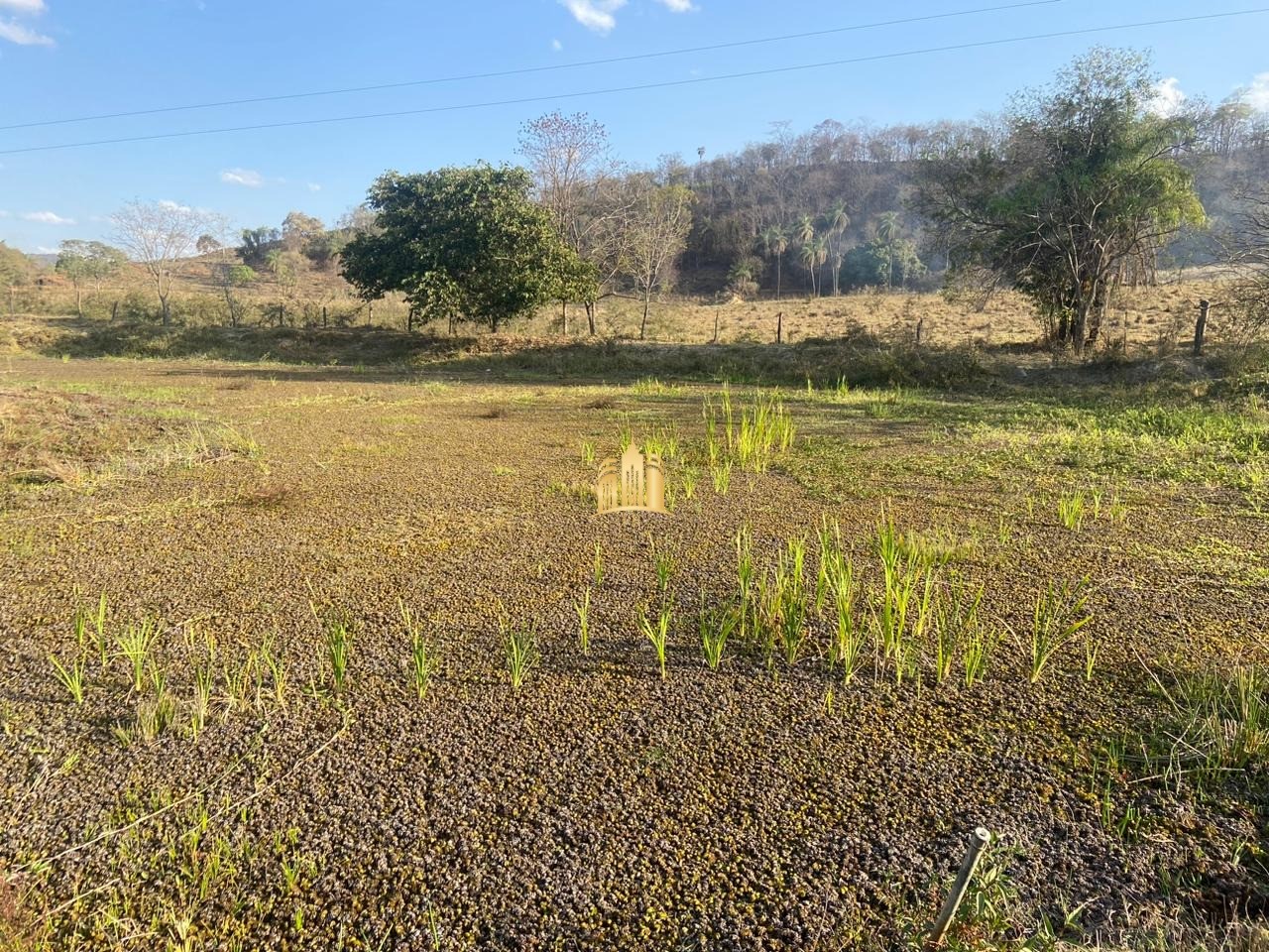 Fazenda à venda com 3 quartos, 600000m² - Foto 11