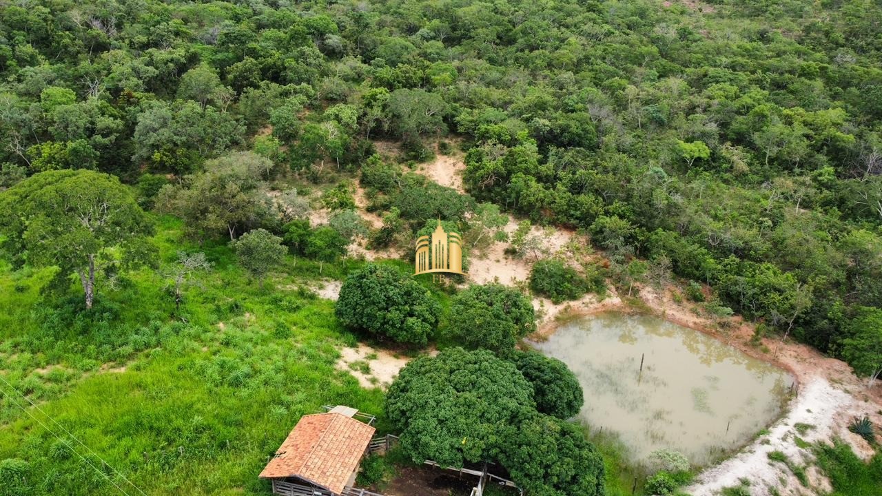 Fazenda à venda com 4 quartos, 1340000m² - Foto 1