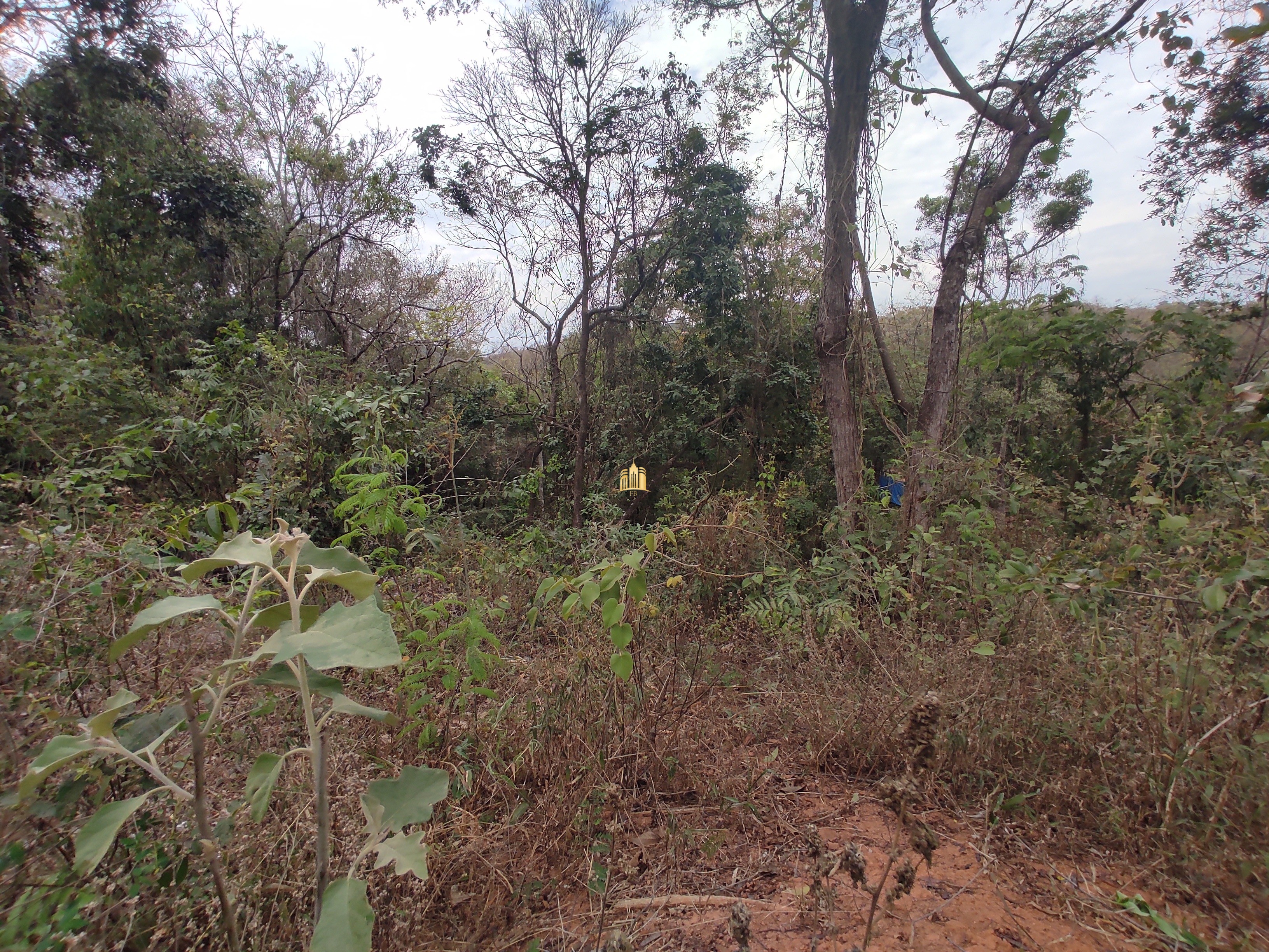 Terreno à venda, 1000m² - Foto 7