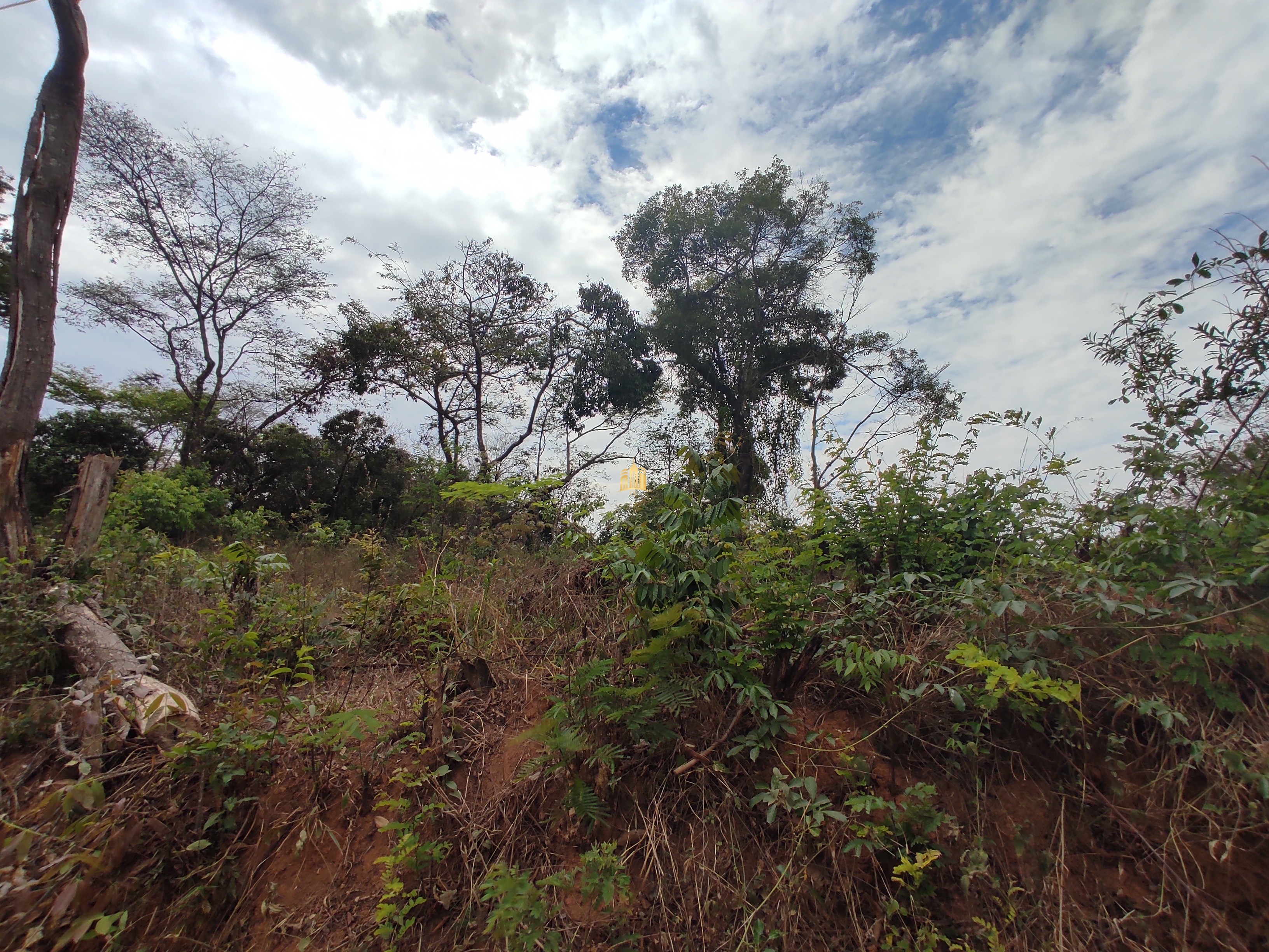 Terreno à venda, 1000m² - Foto 3