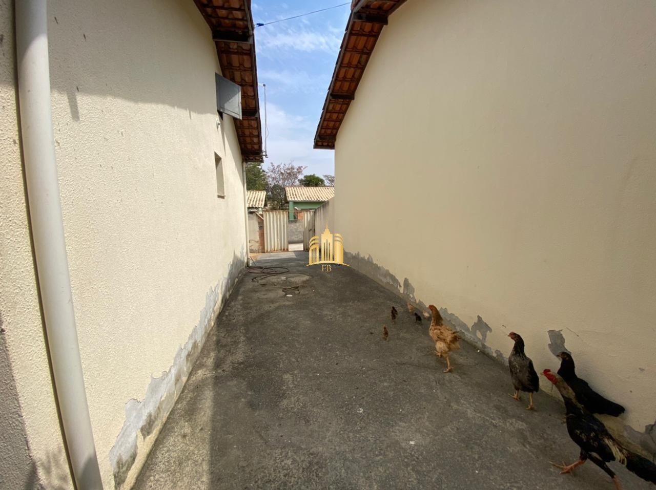 Casa à venda e aluguel com 2 quartos, 180m² - Foto 4