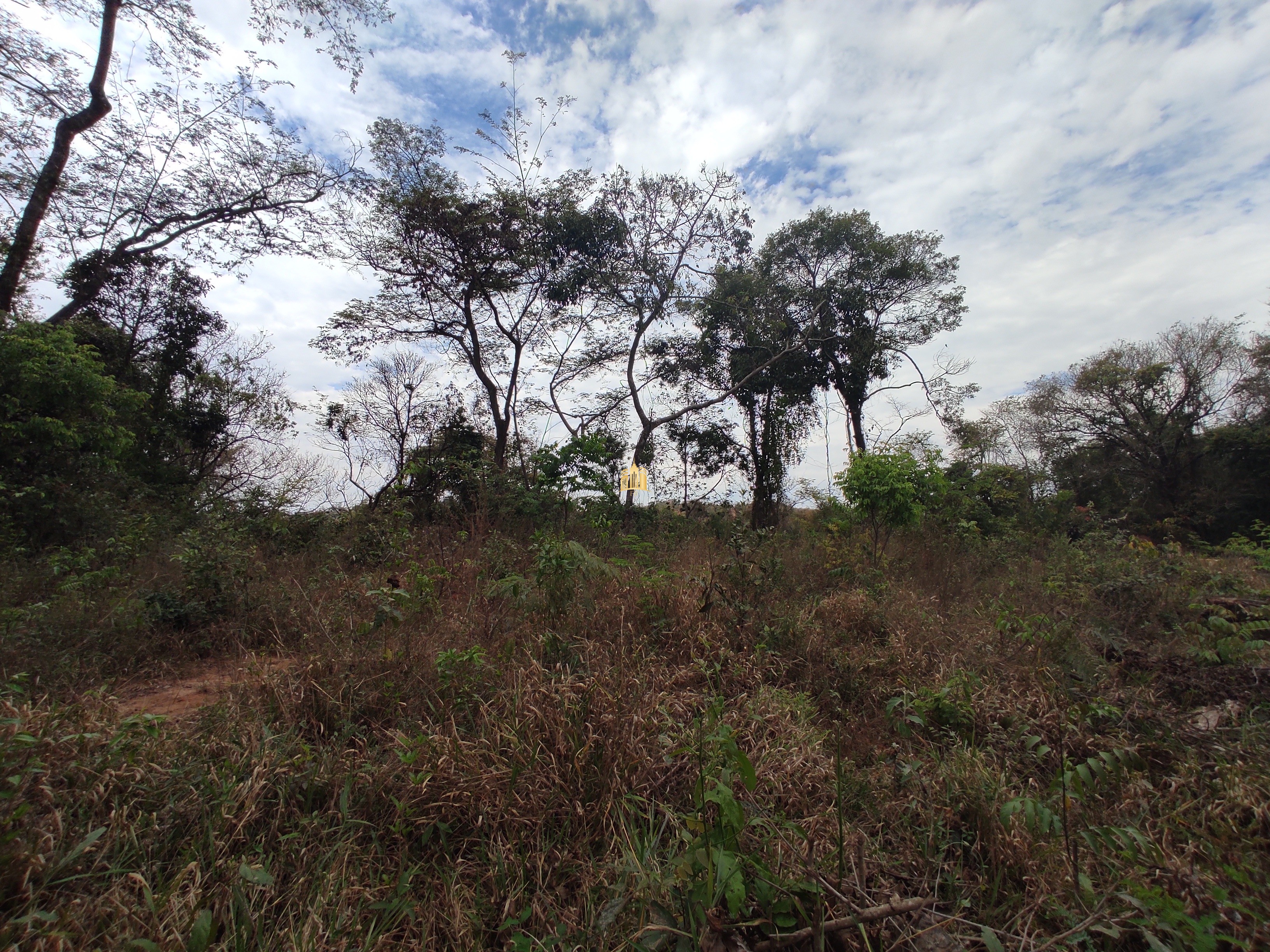 Terreno à venda, 1000m² - Foto 4