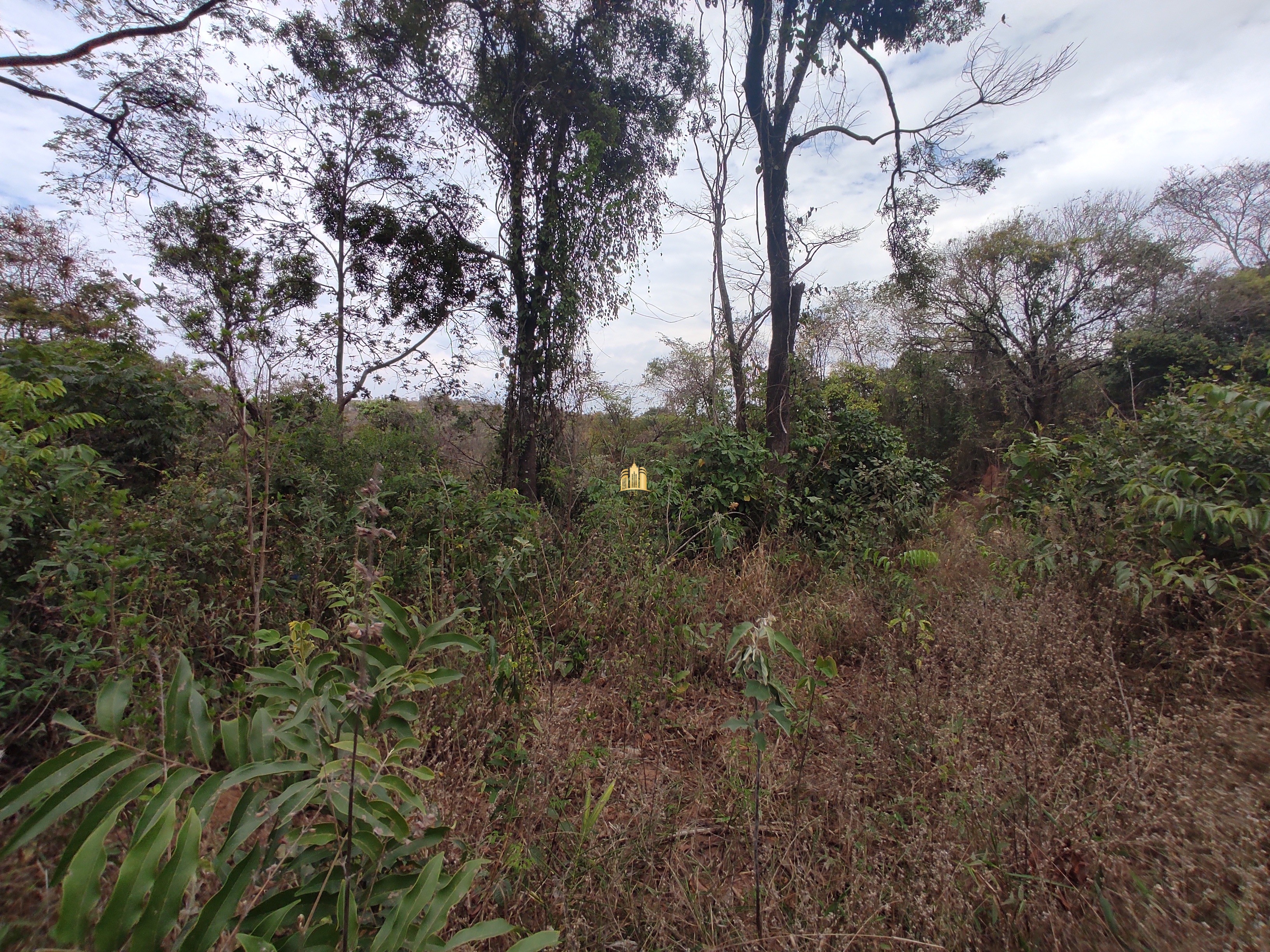 Terreno à venda, 1000m² - Foto 9