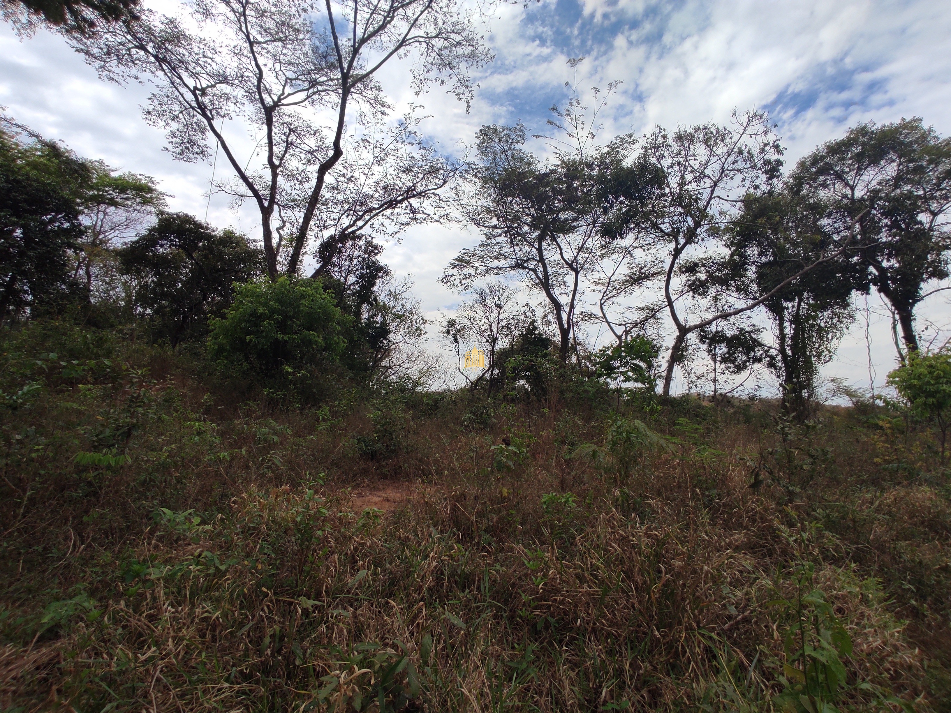 Terreno à venda, 1000m² - Foto 1