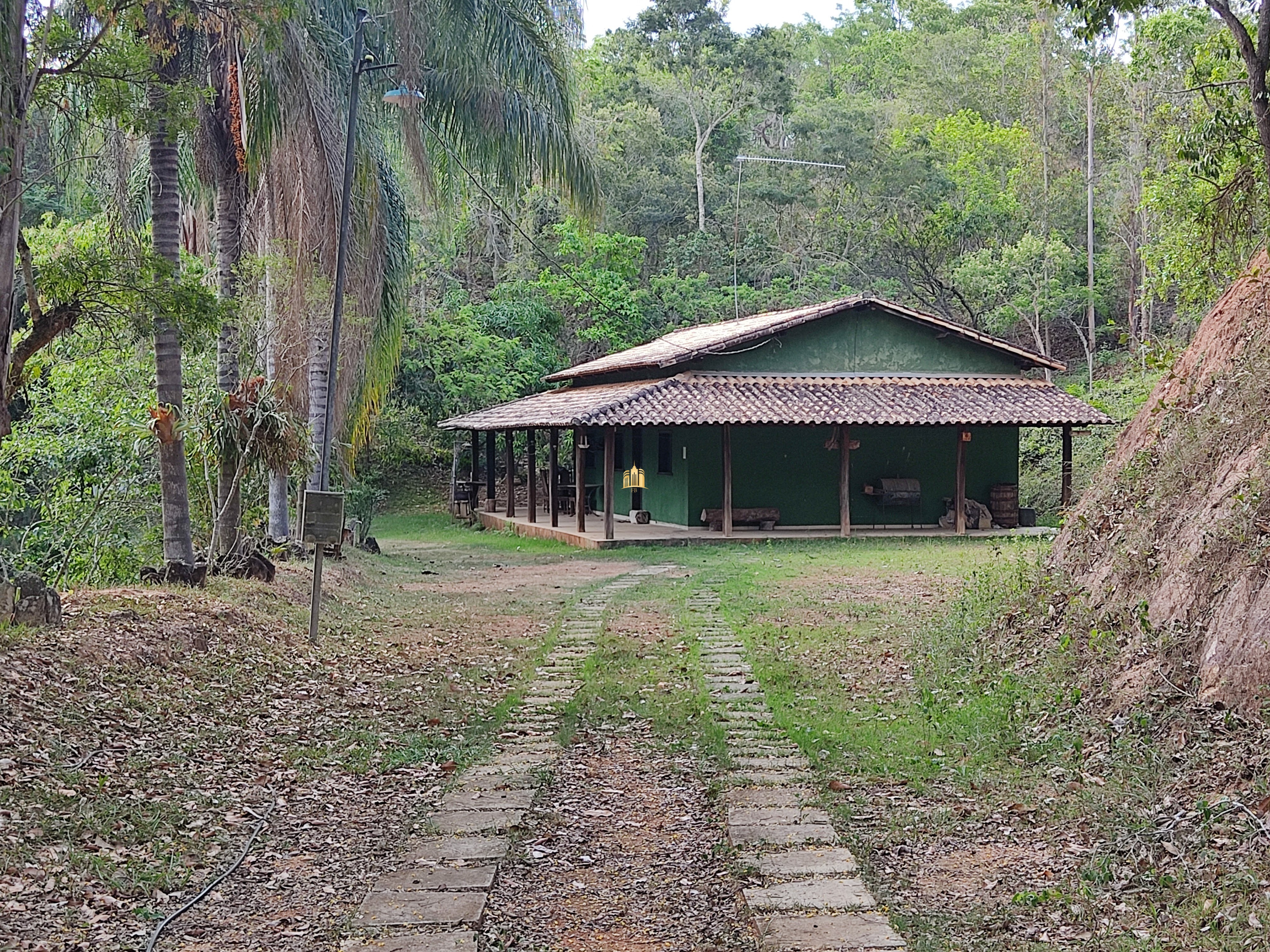 Sítio à venda com 3 quartos, 20000m² - Foto 5