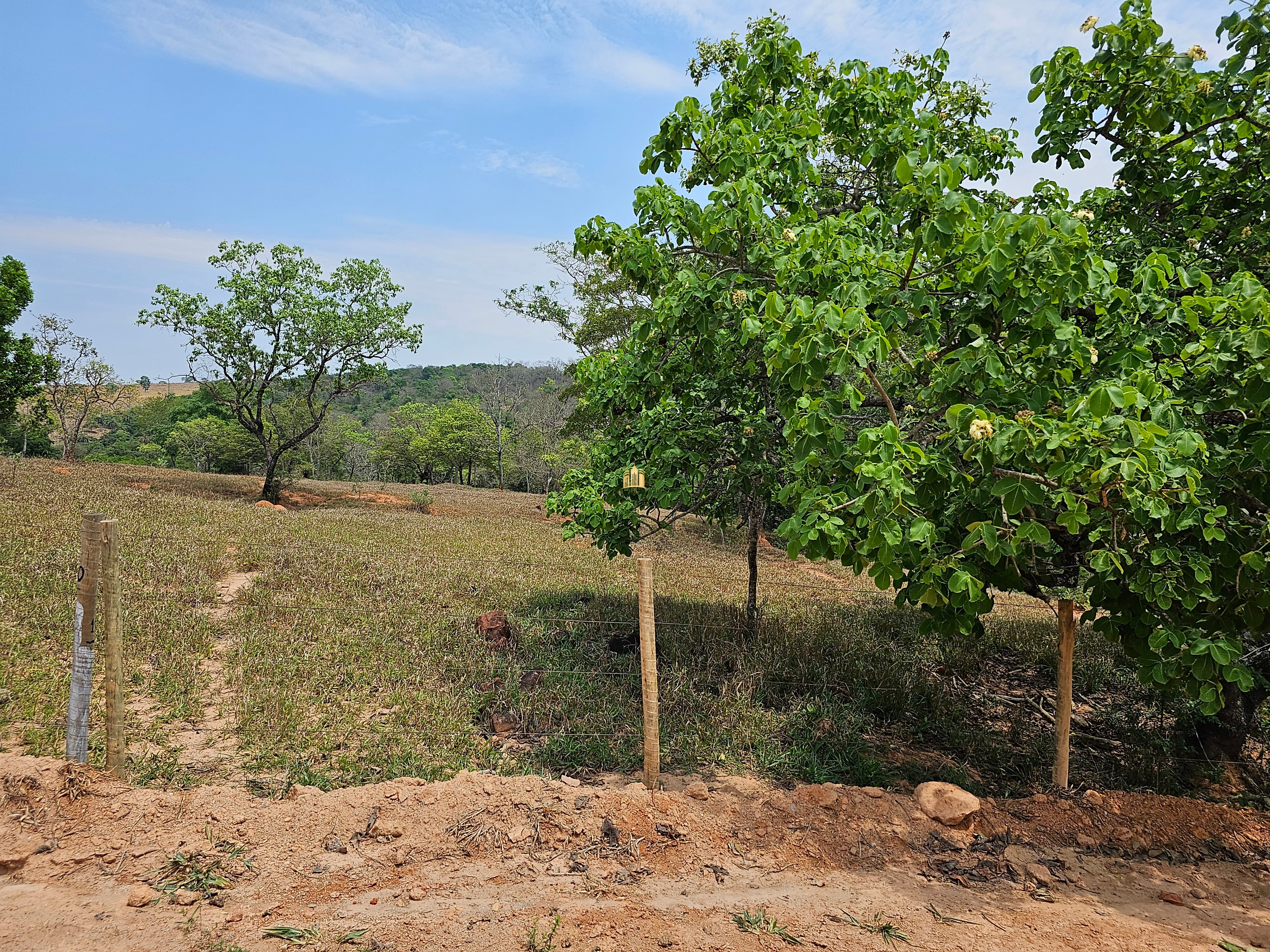 Terreno à venda, 20305m² - Foto 14