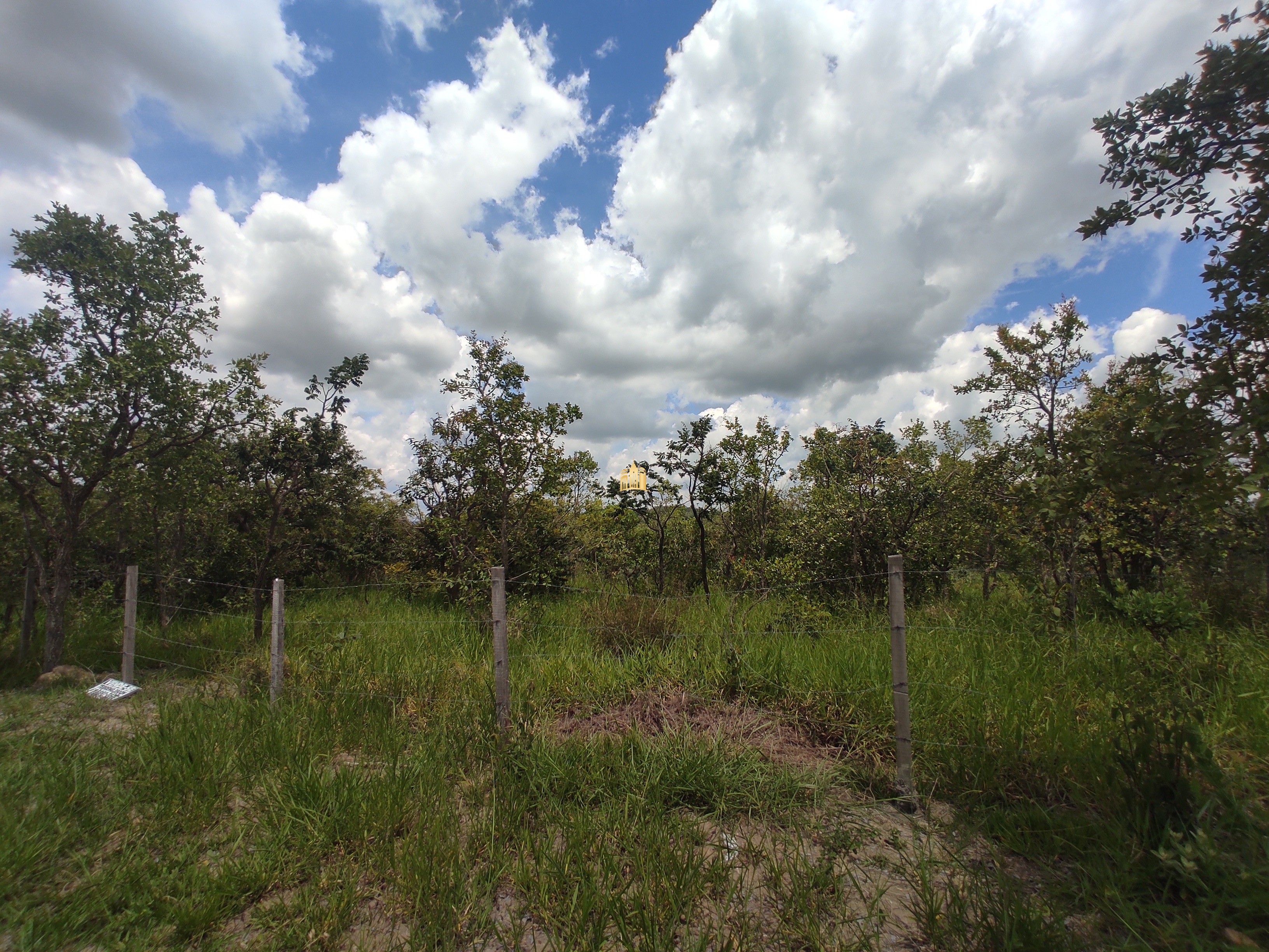 Terreno à venda, 2500m² - Foto 3