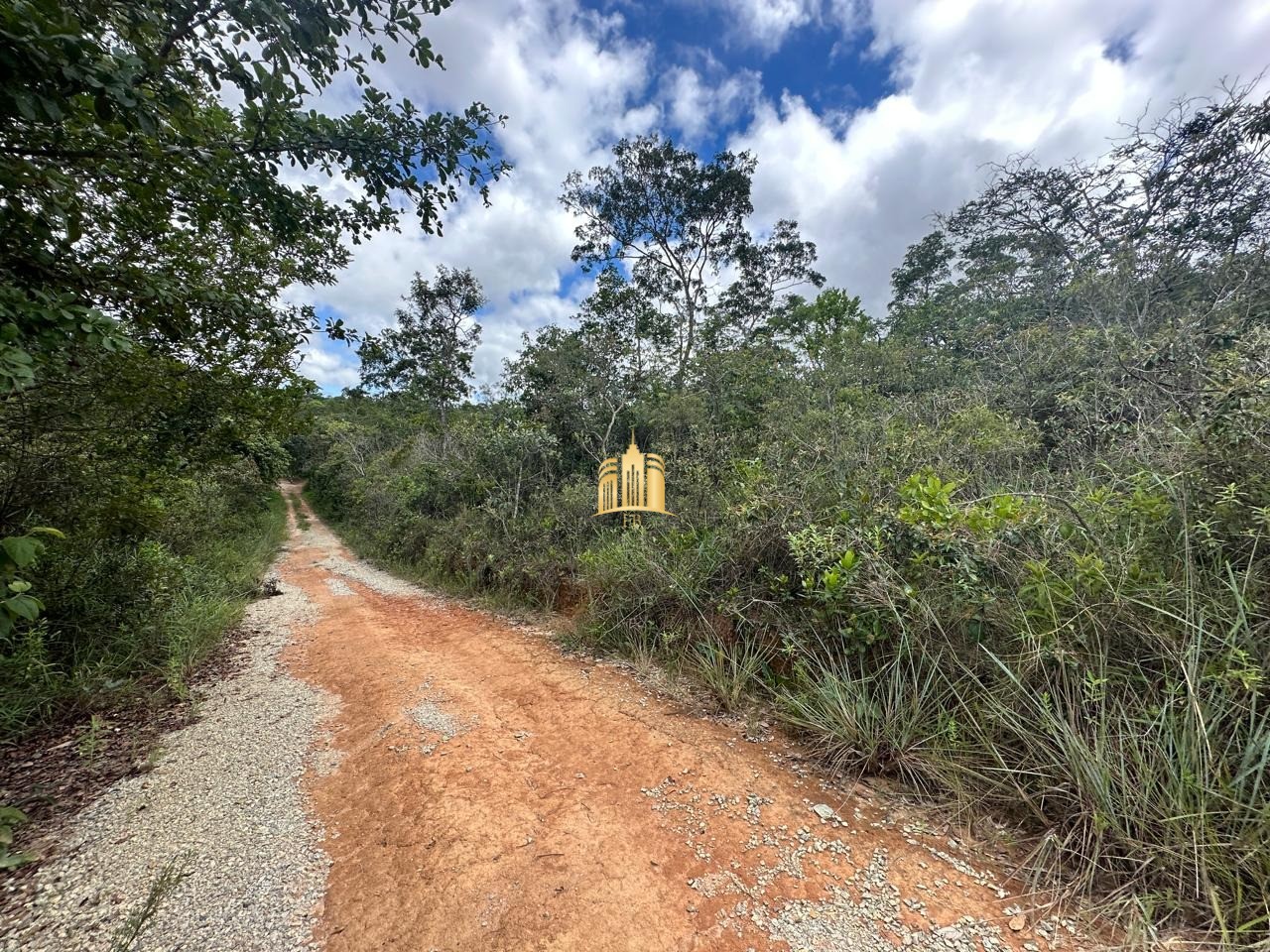 Terreno à venda, 5000m² - Foto 6