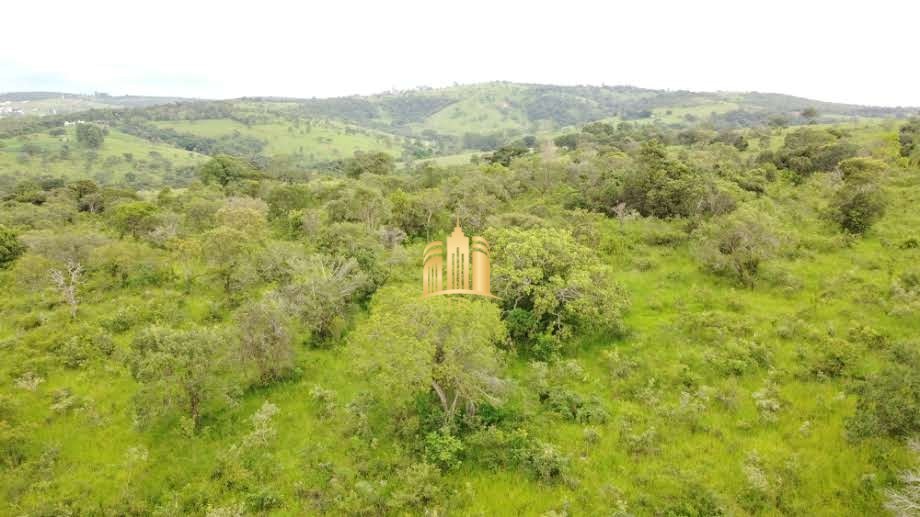 Fazenda à venda, 500000m² - Foto 5