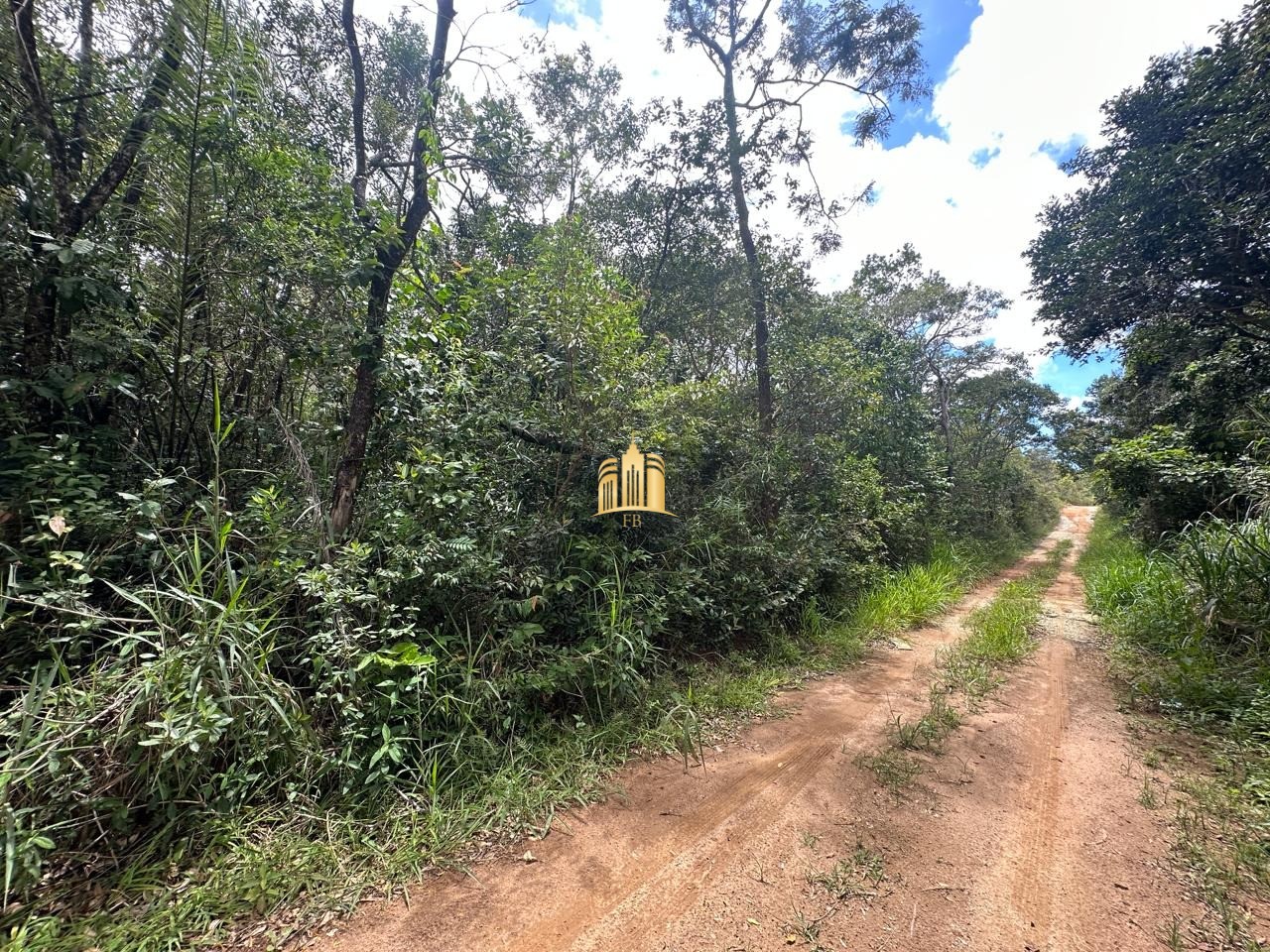 Terreno à venda, 5000m² - Foto 5