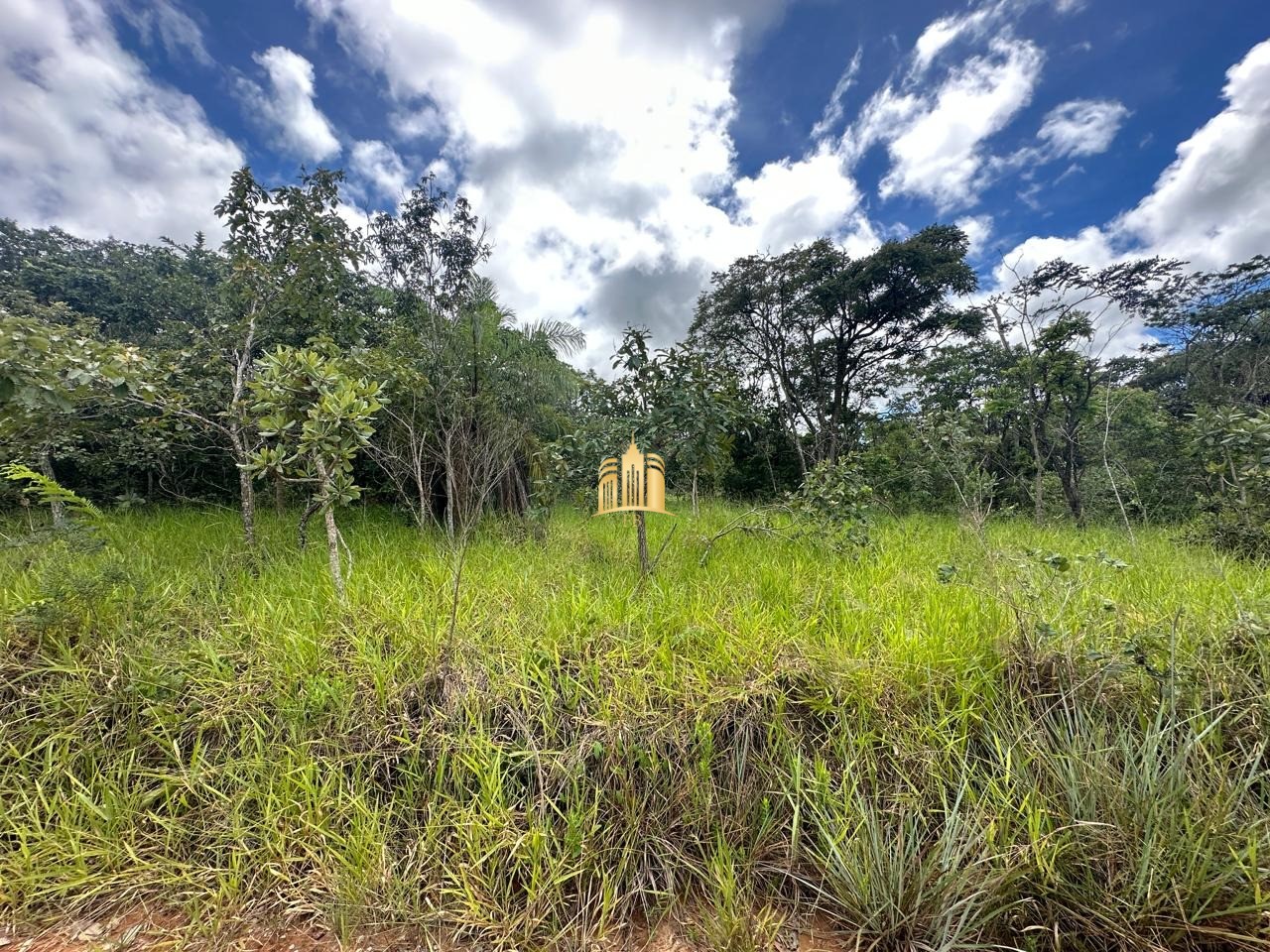 Terreno à venda, 5000m² - Foto 3