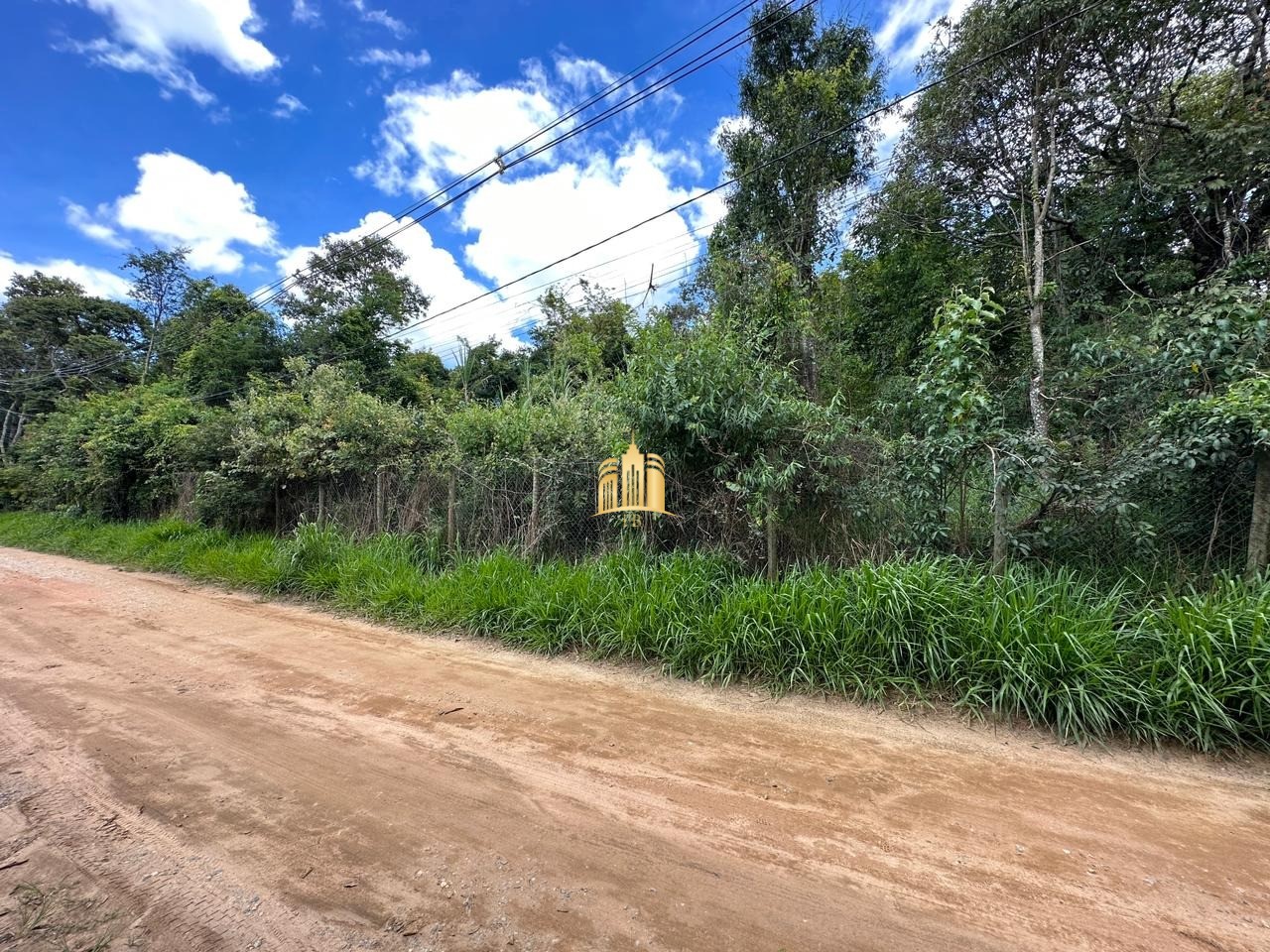 Terreno à venda, 5000m² - Foto 3