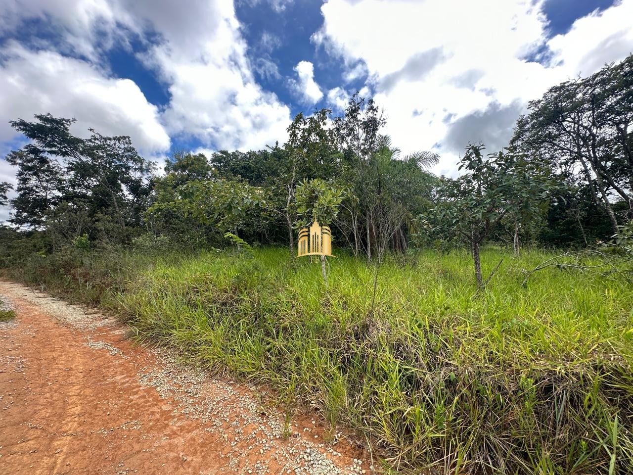 Terreno à venda, 5000m² - Foto 2