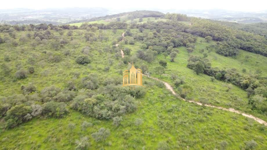 Fazenda à venda, 500000m² - Foto 8