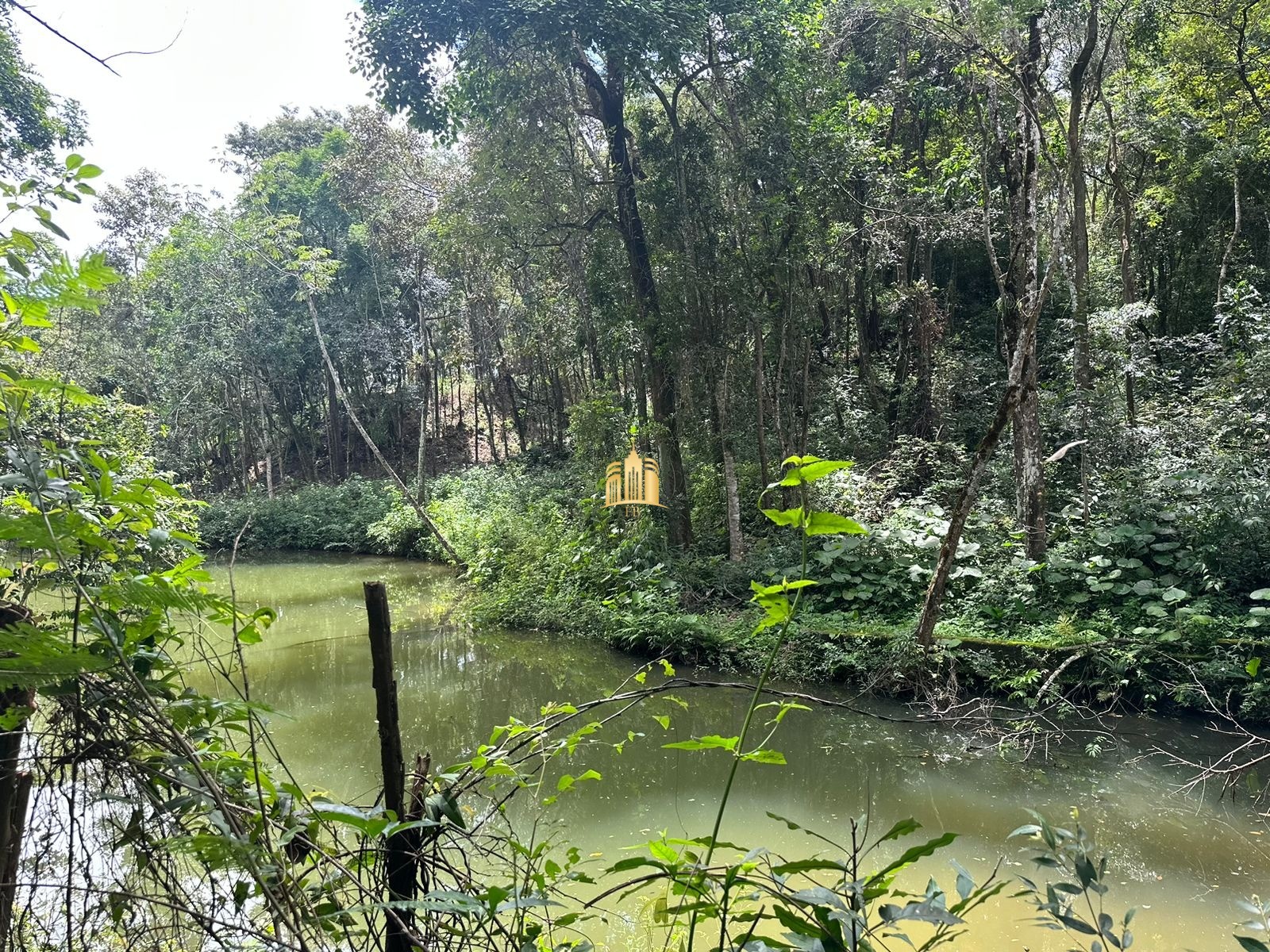 Sítio, 5 quartos, 5000 m² - Foto 11