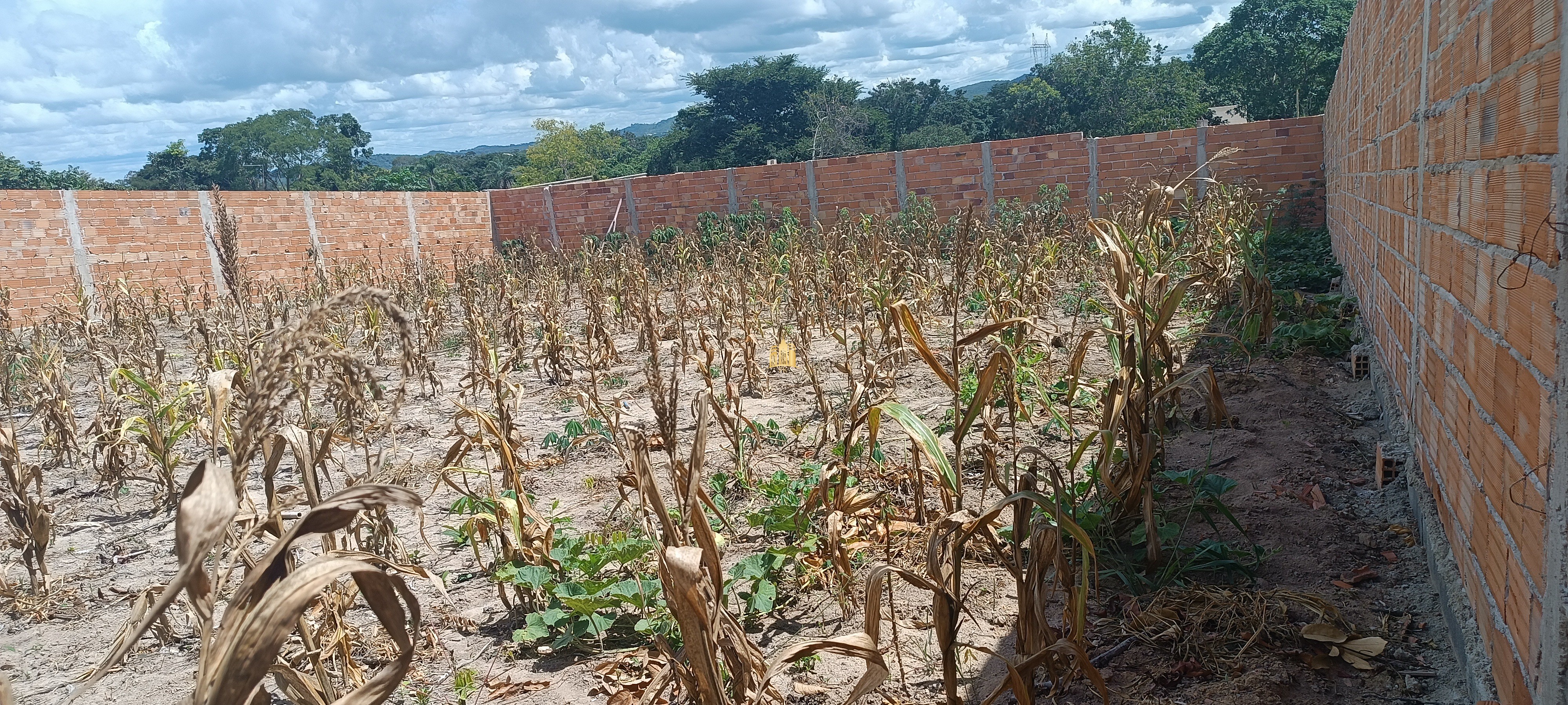 Terreno à venda, 720m² - Foto 2