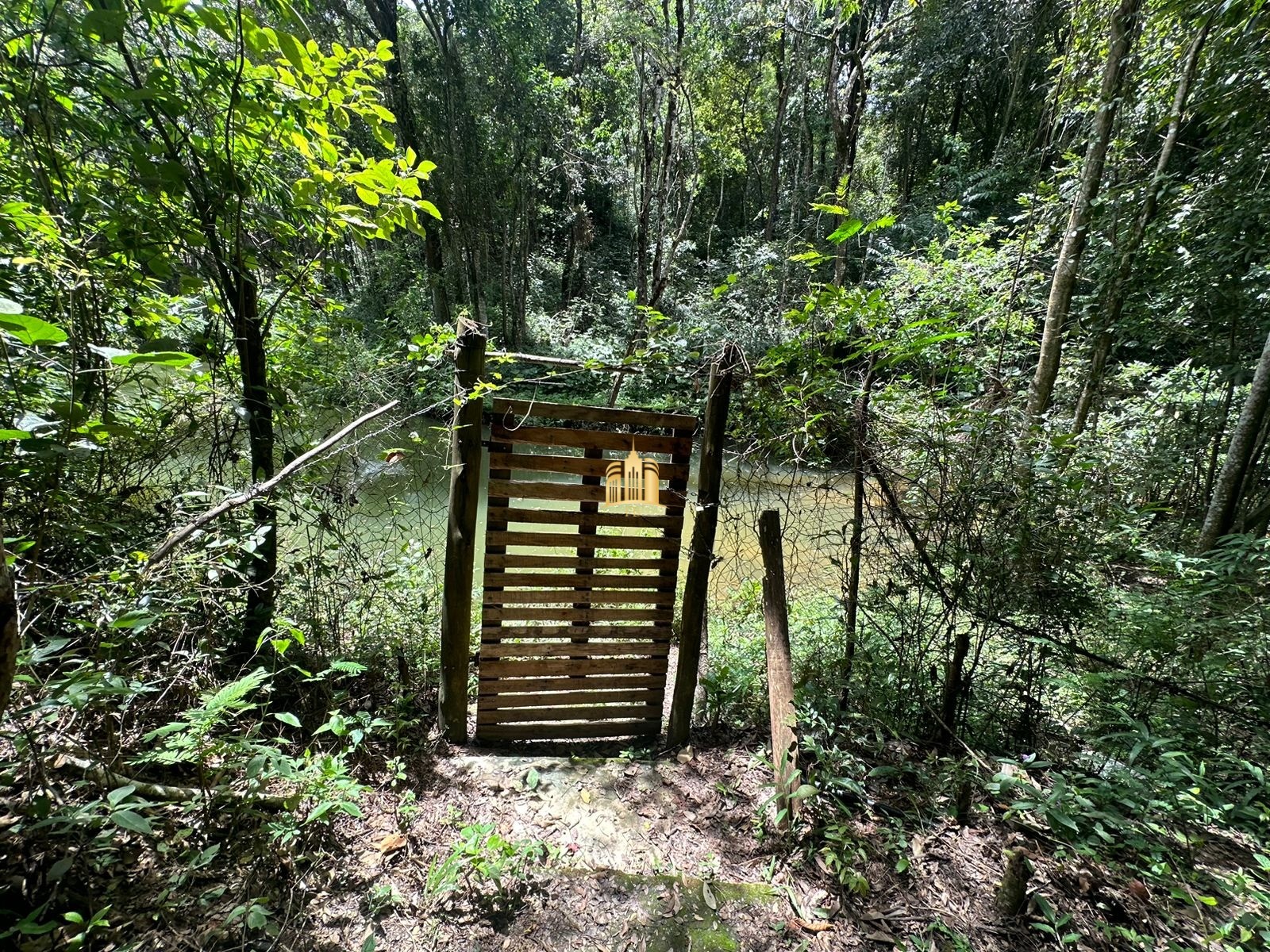 Sítio, 5 quartos, 5000 m² - Foto 9