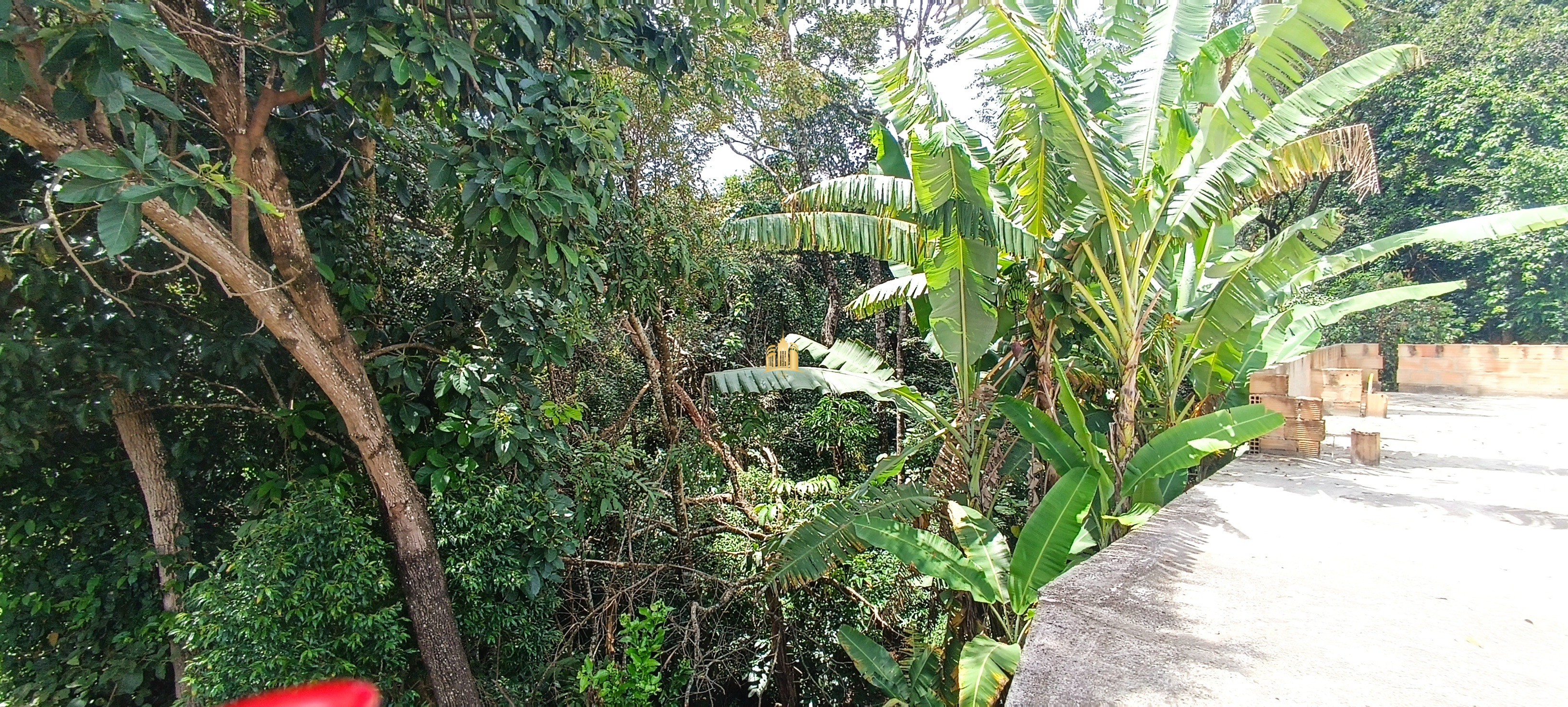 Sítio, 5 quartos, 5000 m² - Foto 13