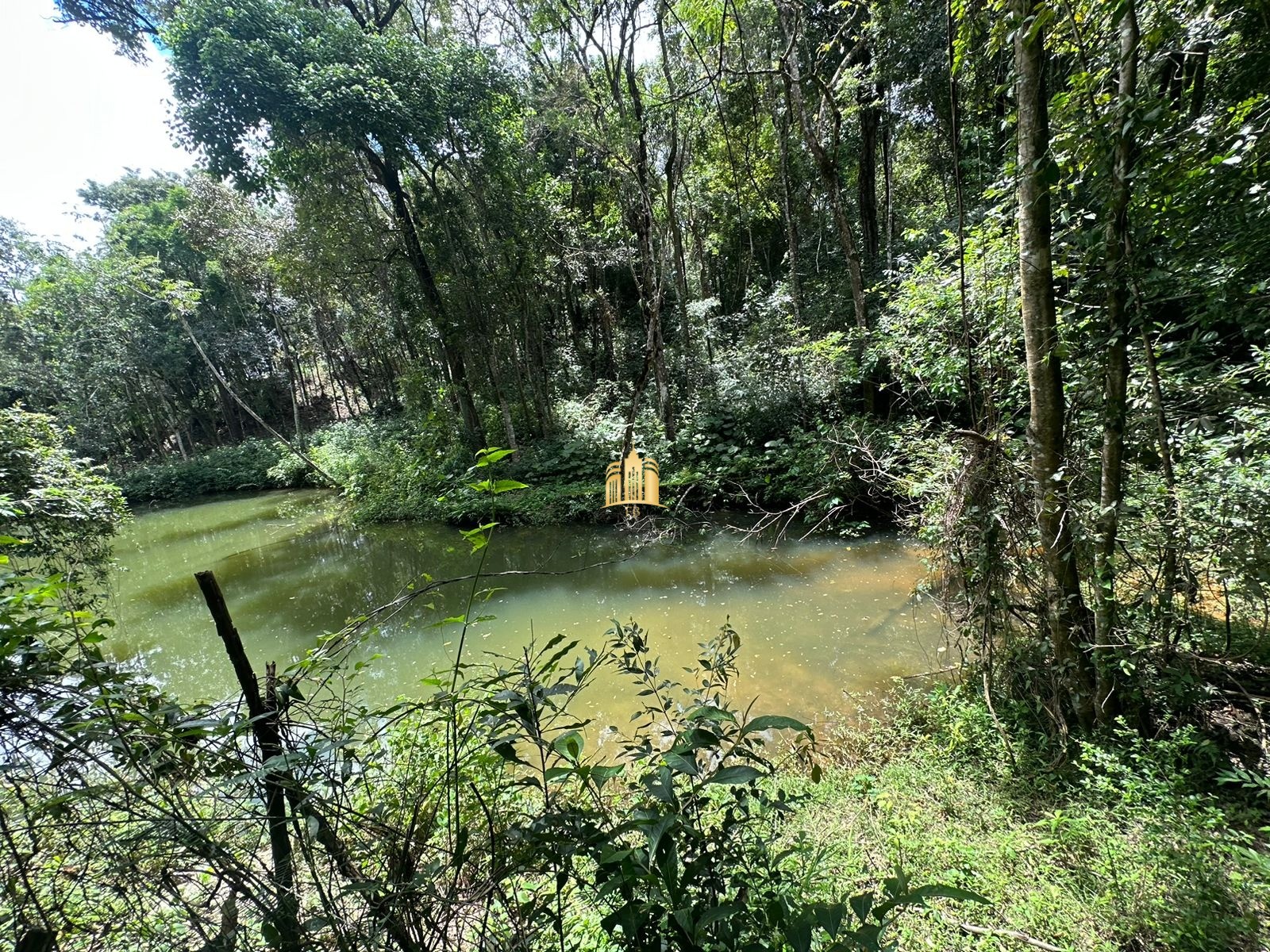 Sítio, 5 quartos, 5000 m² - Foto 10