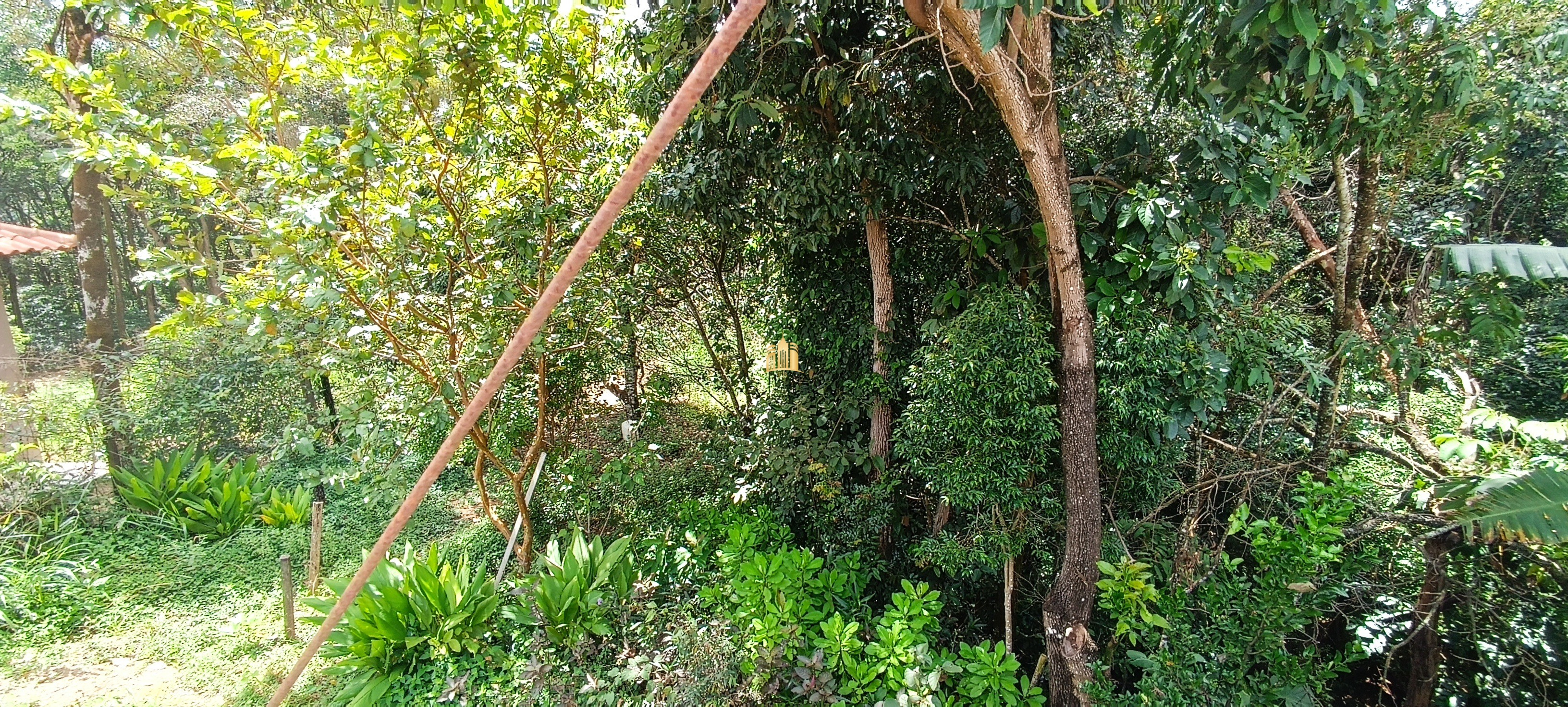 Sítio, 5 quartos, 5000 m² - Foto 27