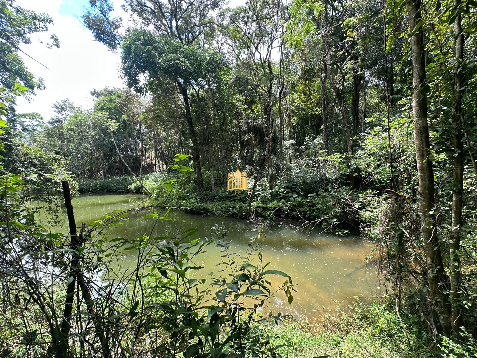 Sítio, 5 quartos, 5000 m² - Foto 12