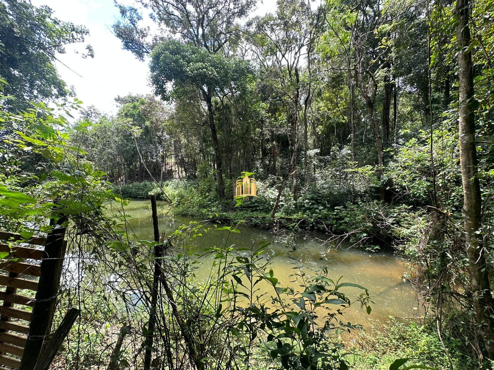 Sítio, 5 quartos, 5000 m² - Foto 7