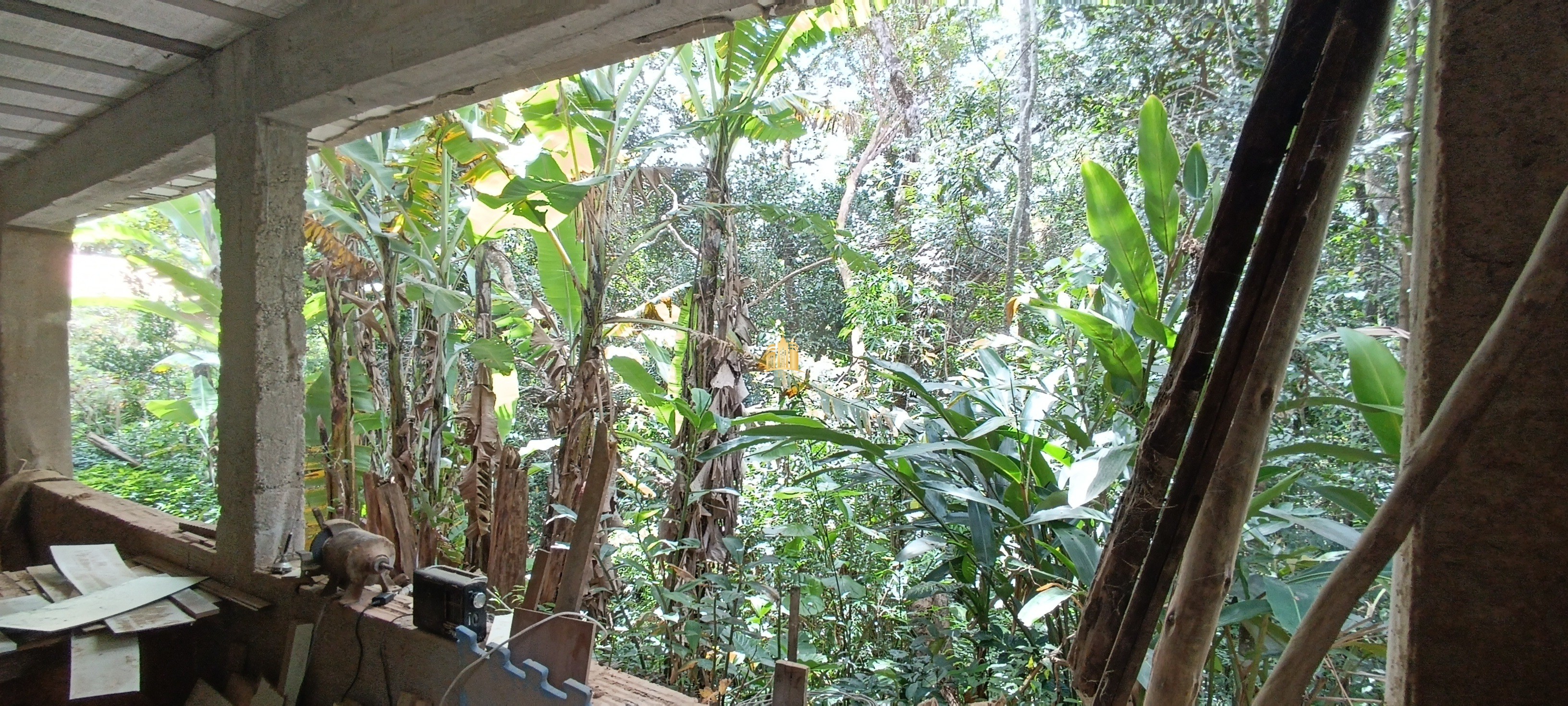 Sítio, 5 quartos, 5000 m² - Foto 18