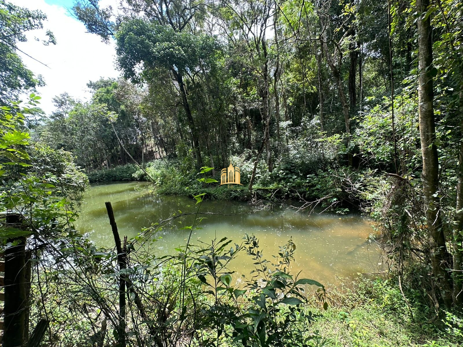 Sítio, 5 quartos, 5000 m² - Foto 8