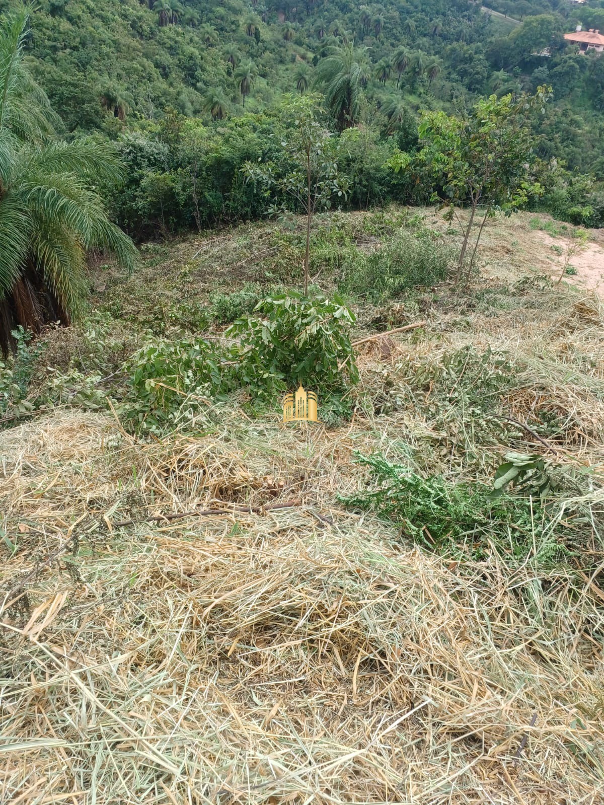 Terreno à venda, 1100m² - Foto 6