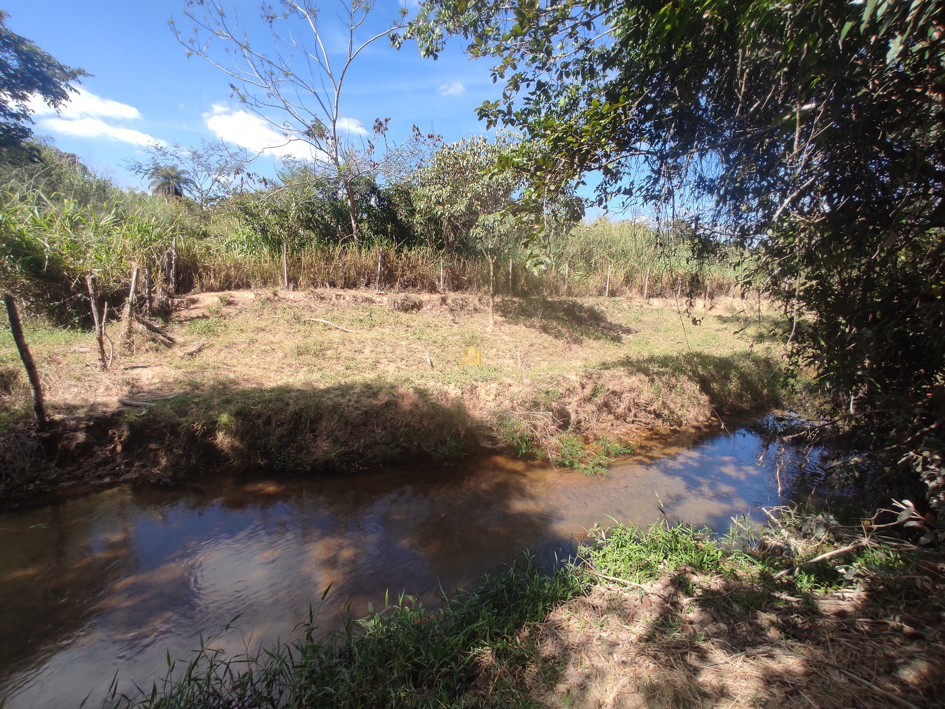 Terreno à venda, 10000m² - Foto 16