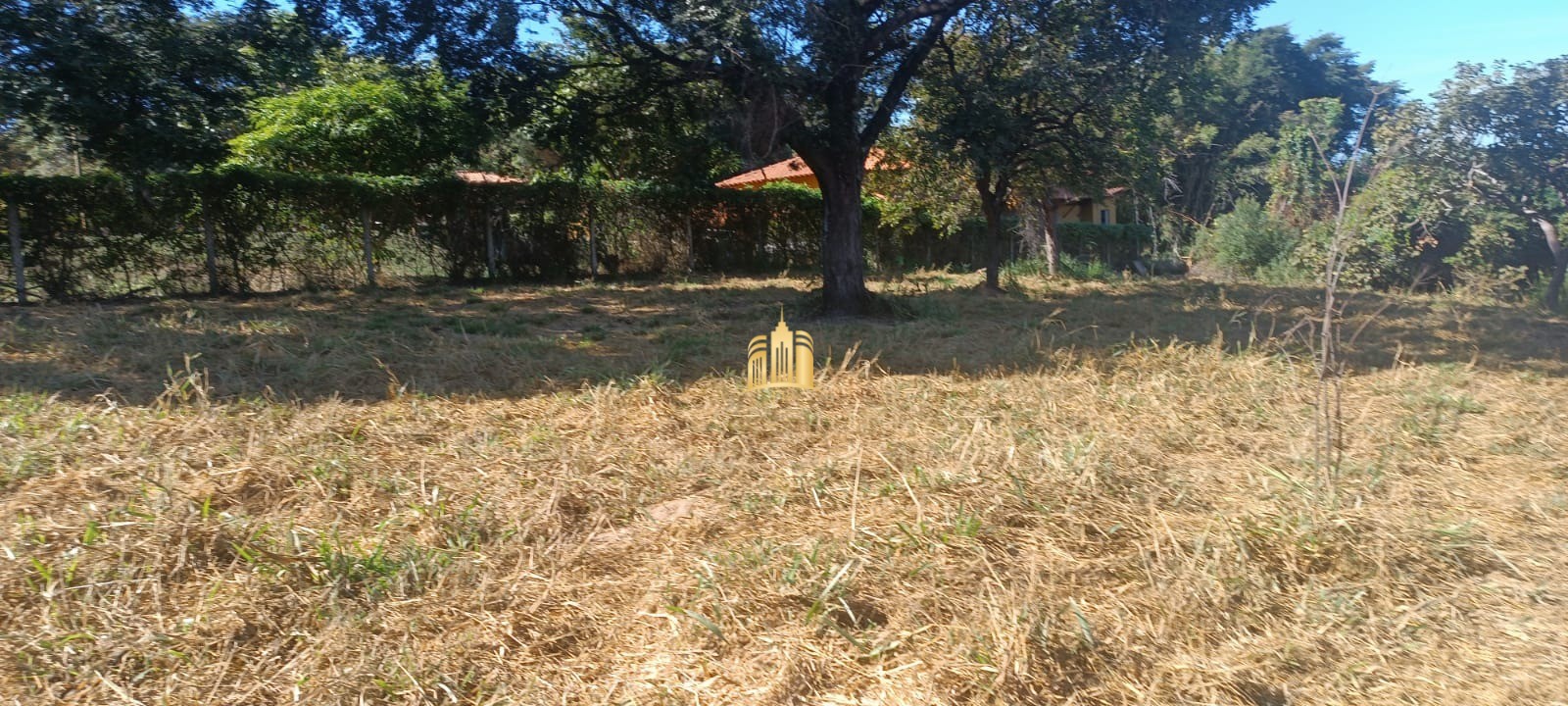 Terreno à venda, 2500m² - Foto 1