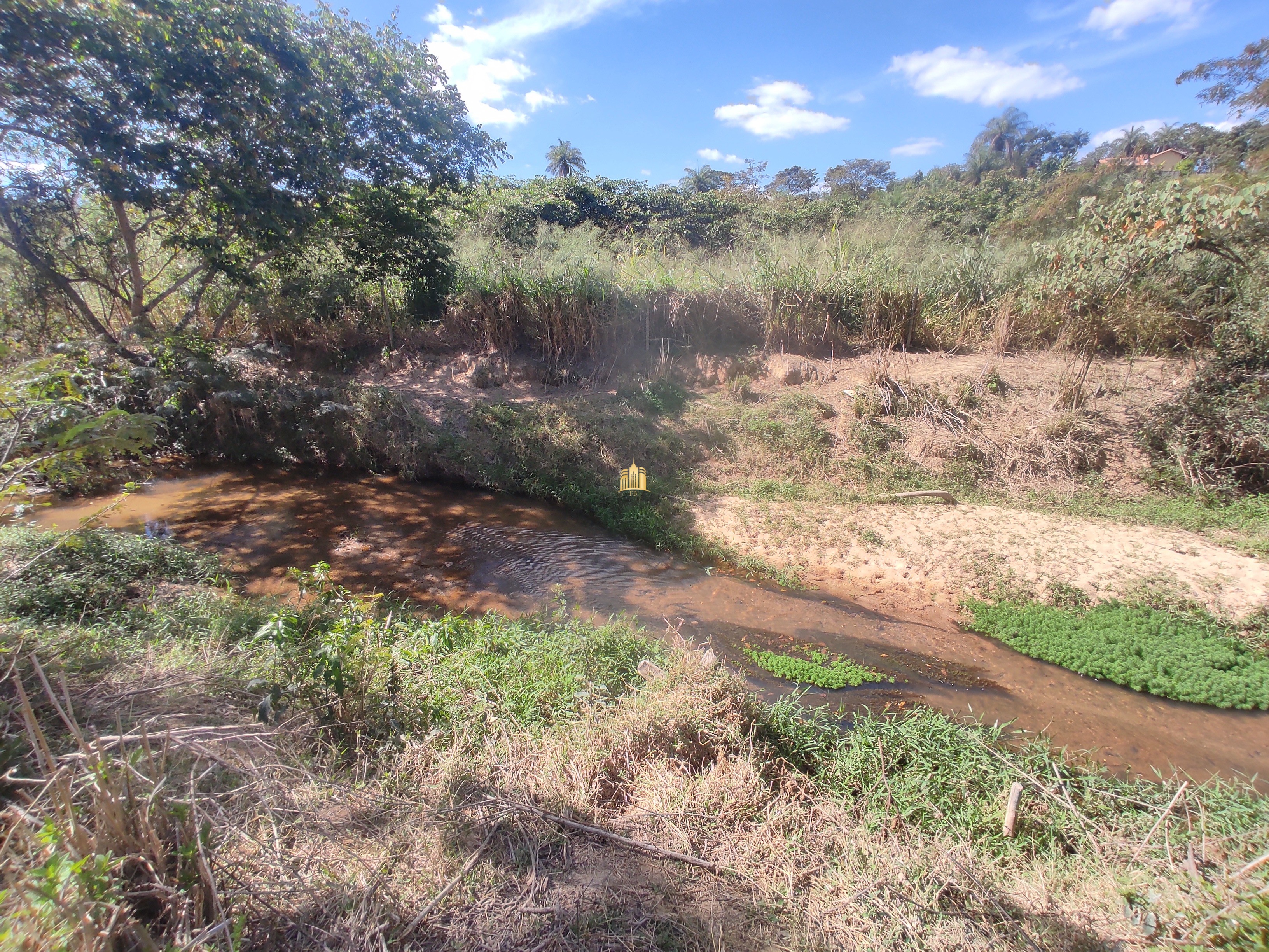 Terreno à venda, 10000m² - Foto 12