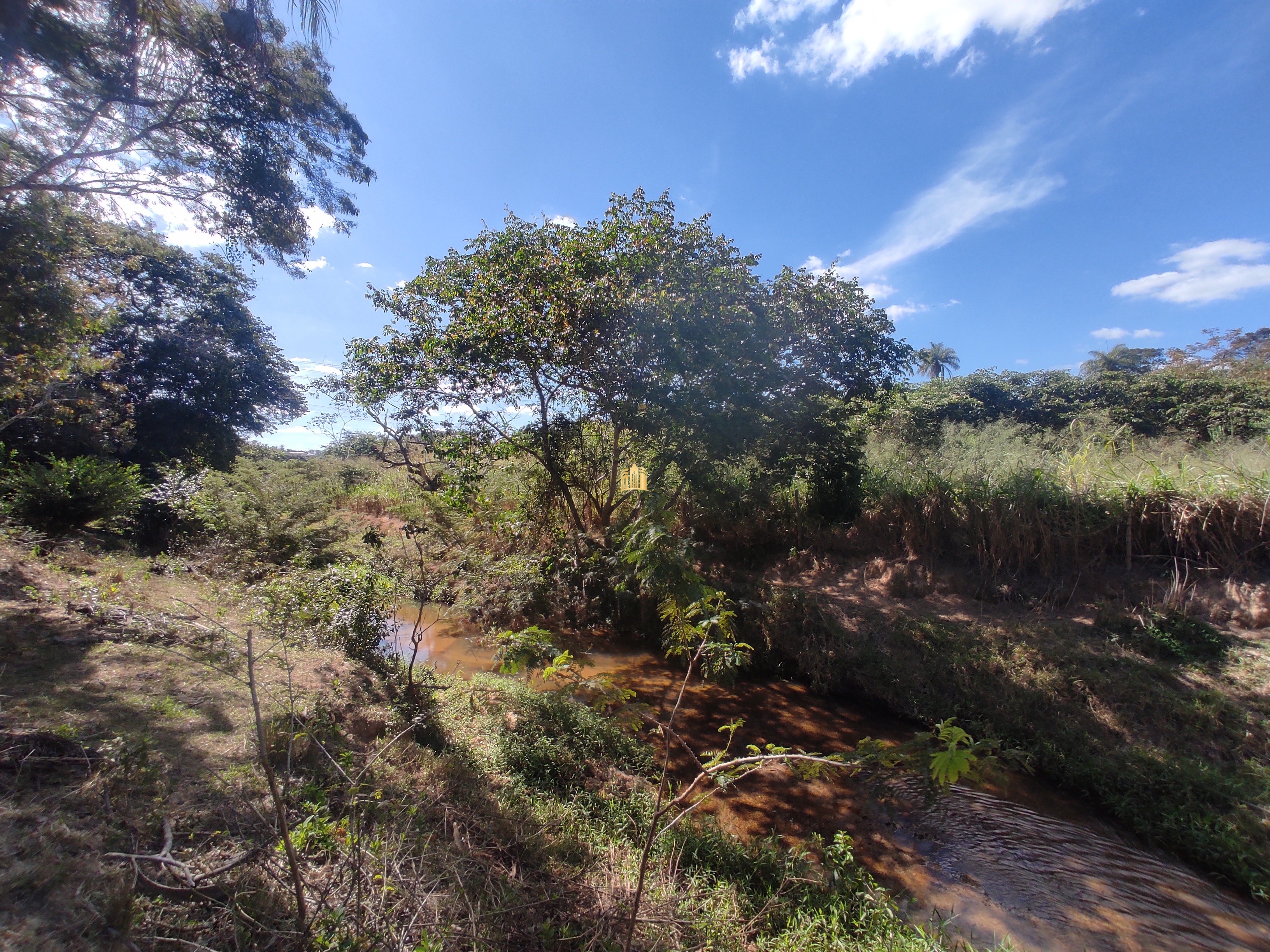 Terreno à venda, 10000m² - Foto 13