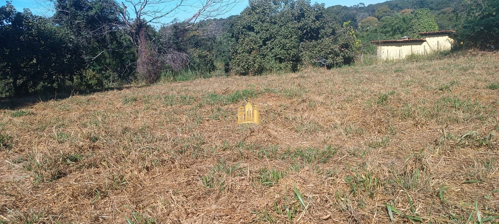 Terreno à venda, 2500m² - Foto 2