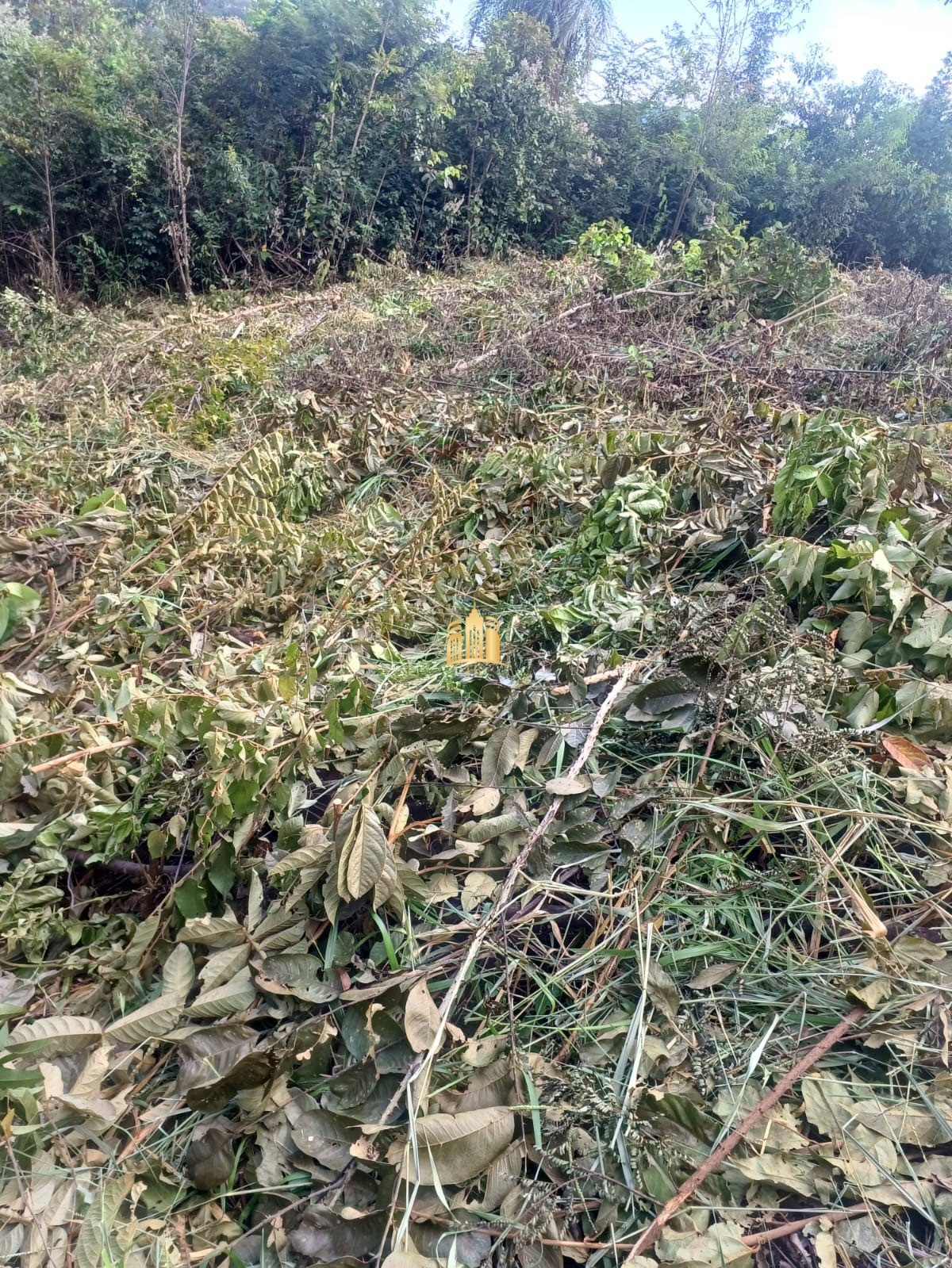 Terreno à venda, 1100m² - Foto 5