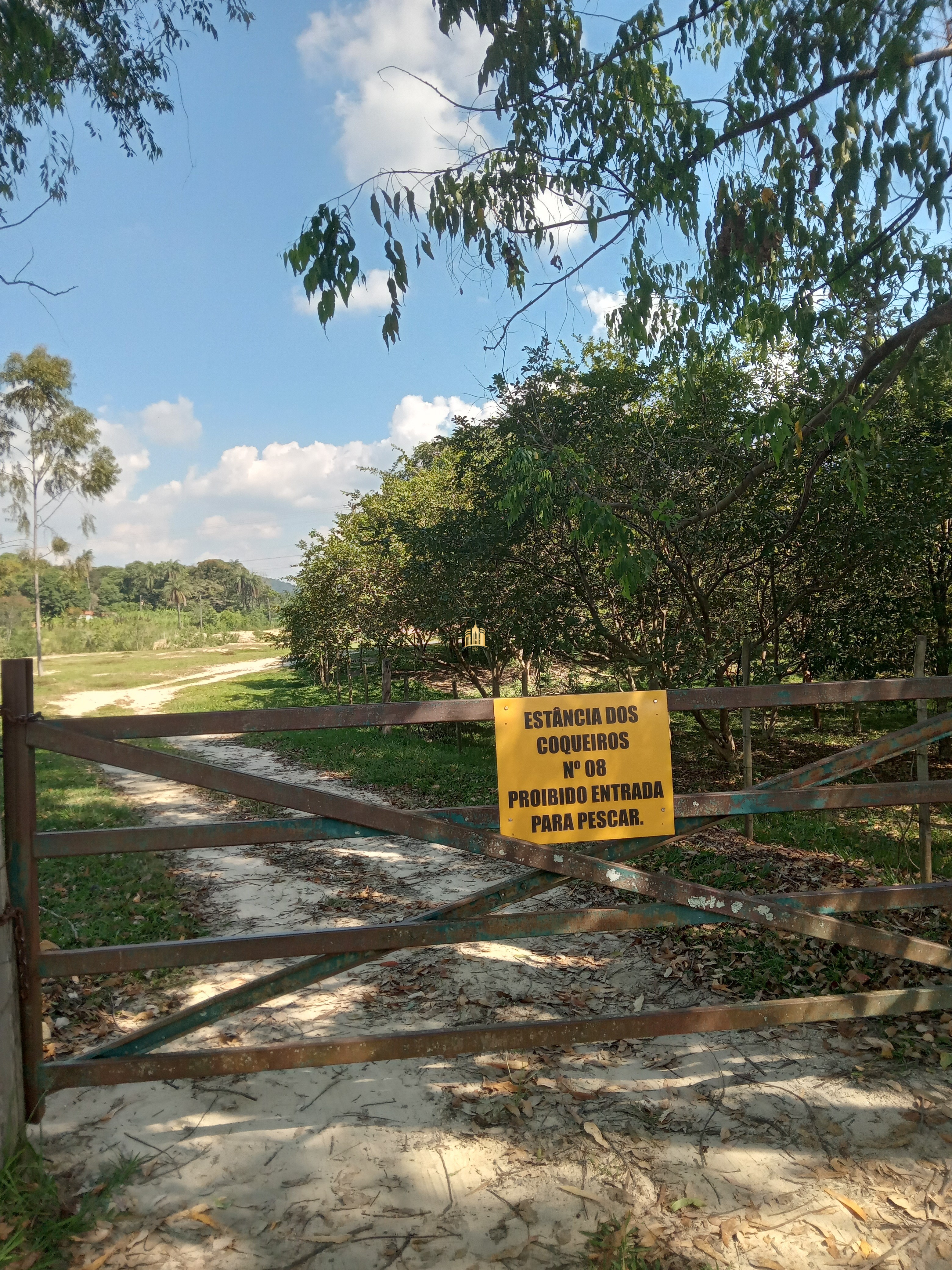 Sítio para alugar com 4 quartos, 3000m² - Foto 18