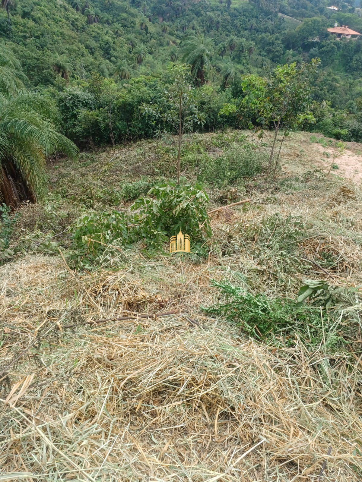 Terreno à venda, 1100m² - Foto 7