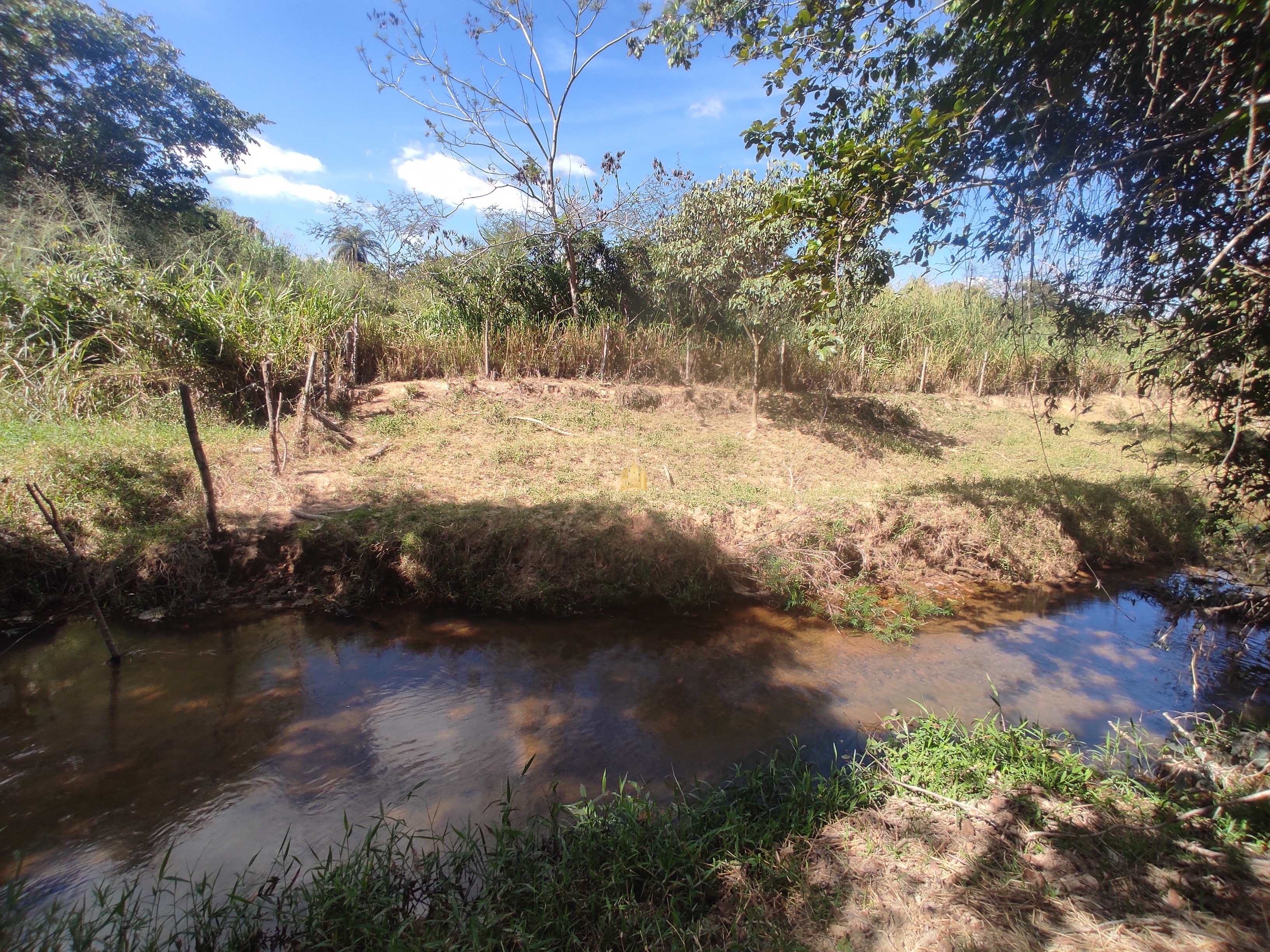 Terreno à venda, 10000m² - Foto 15