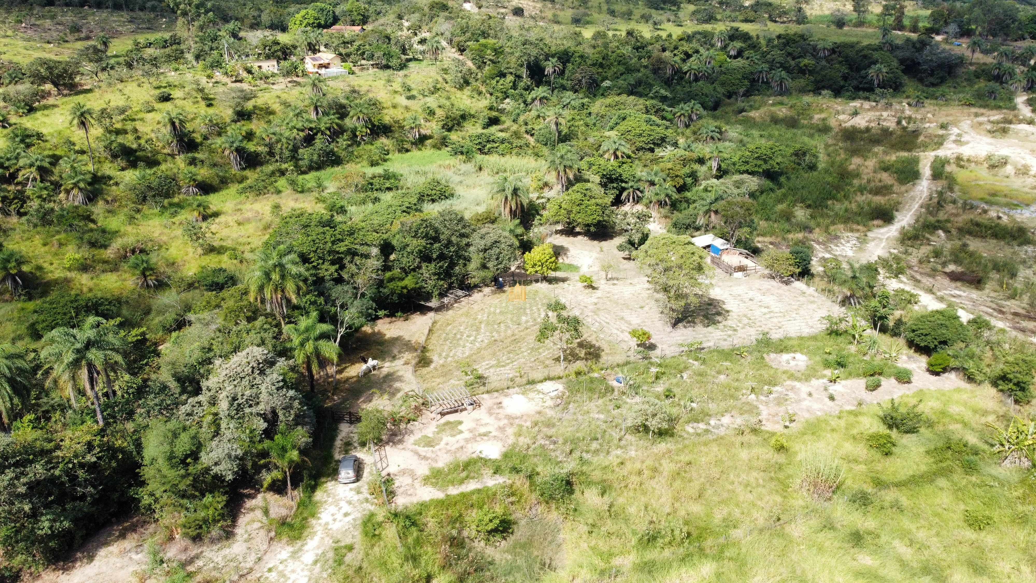 Terreno à venda, 10000m² - Foto 3