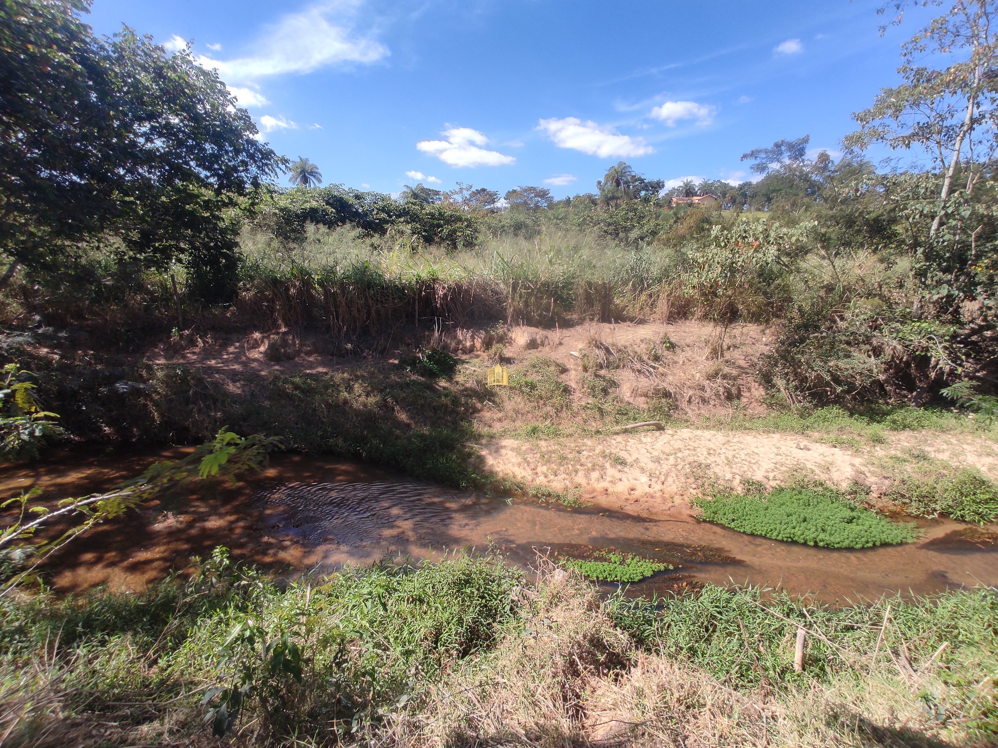 Terreno à venda, 10000m² - Foto 14