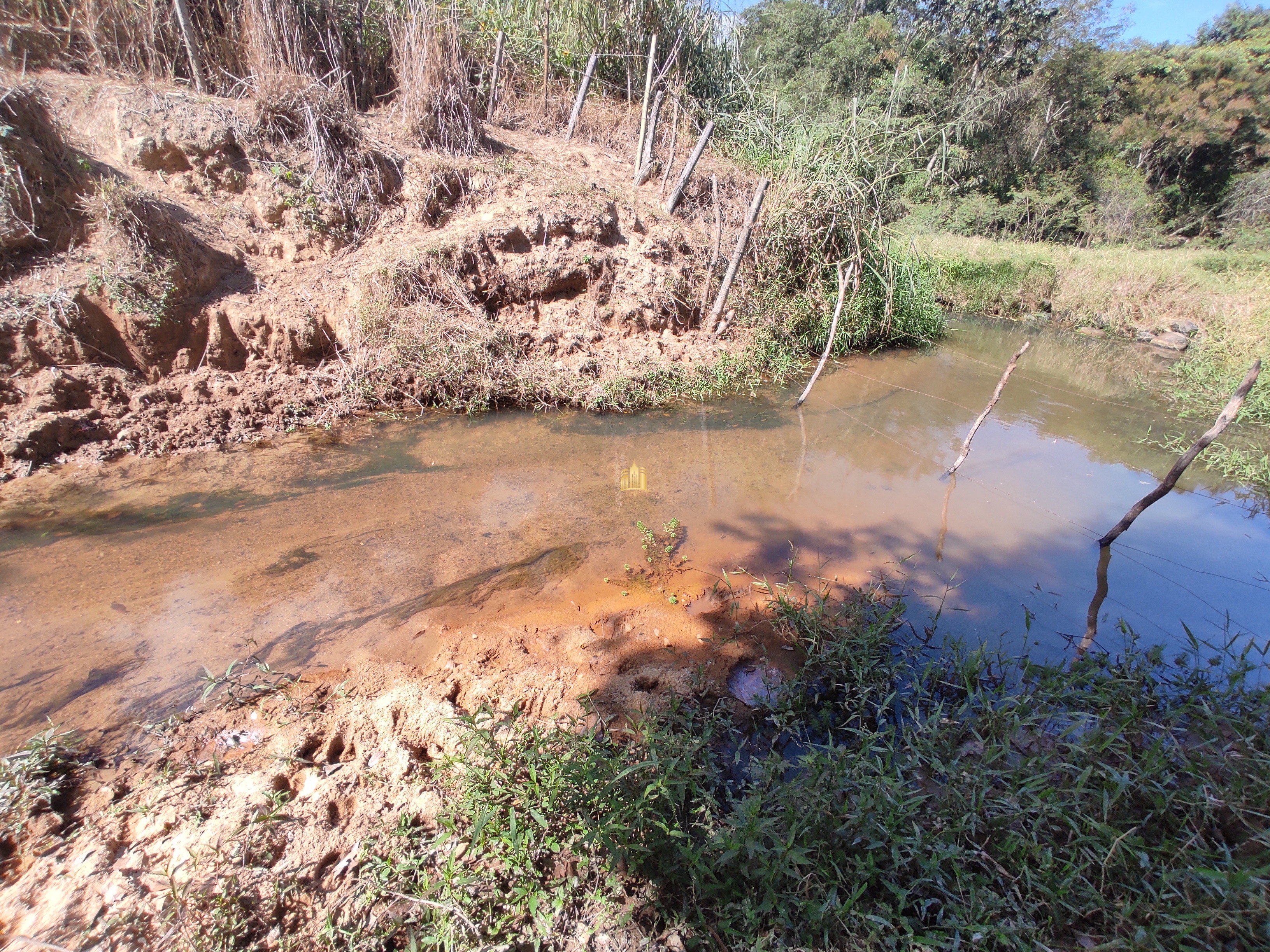 Terreno à venda, 10000m² - Foto 17