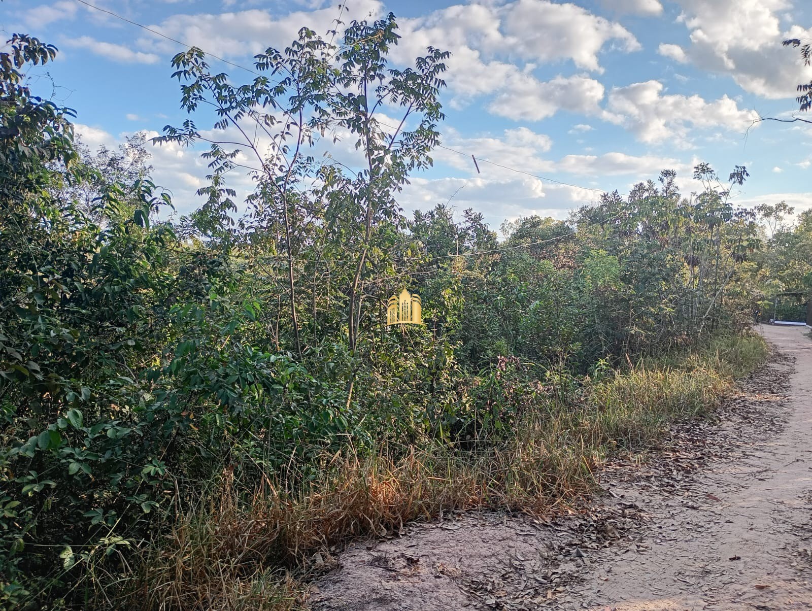 Terreno à venda, 4000m² - Foto 12