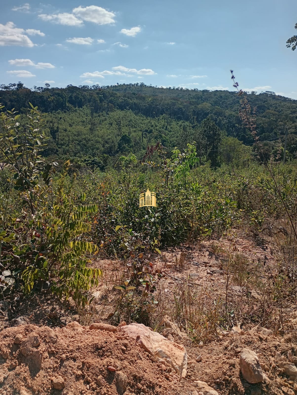 Terreno à venda, 2700m² - Foto 9