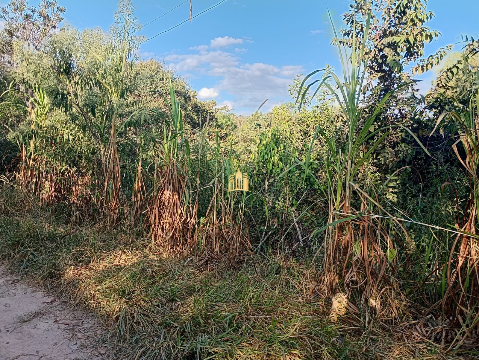 Terreno à venda, 4000m² - Foto 9