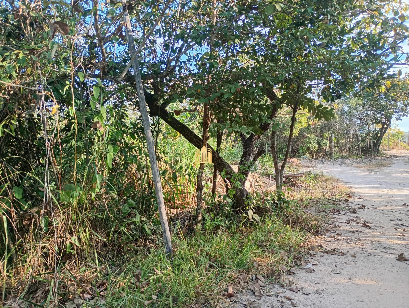 Terreno à venda, 4000m² - Foto 11